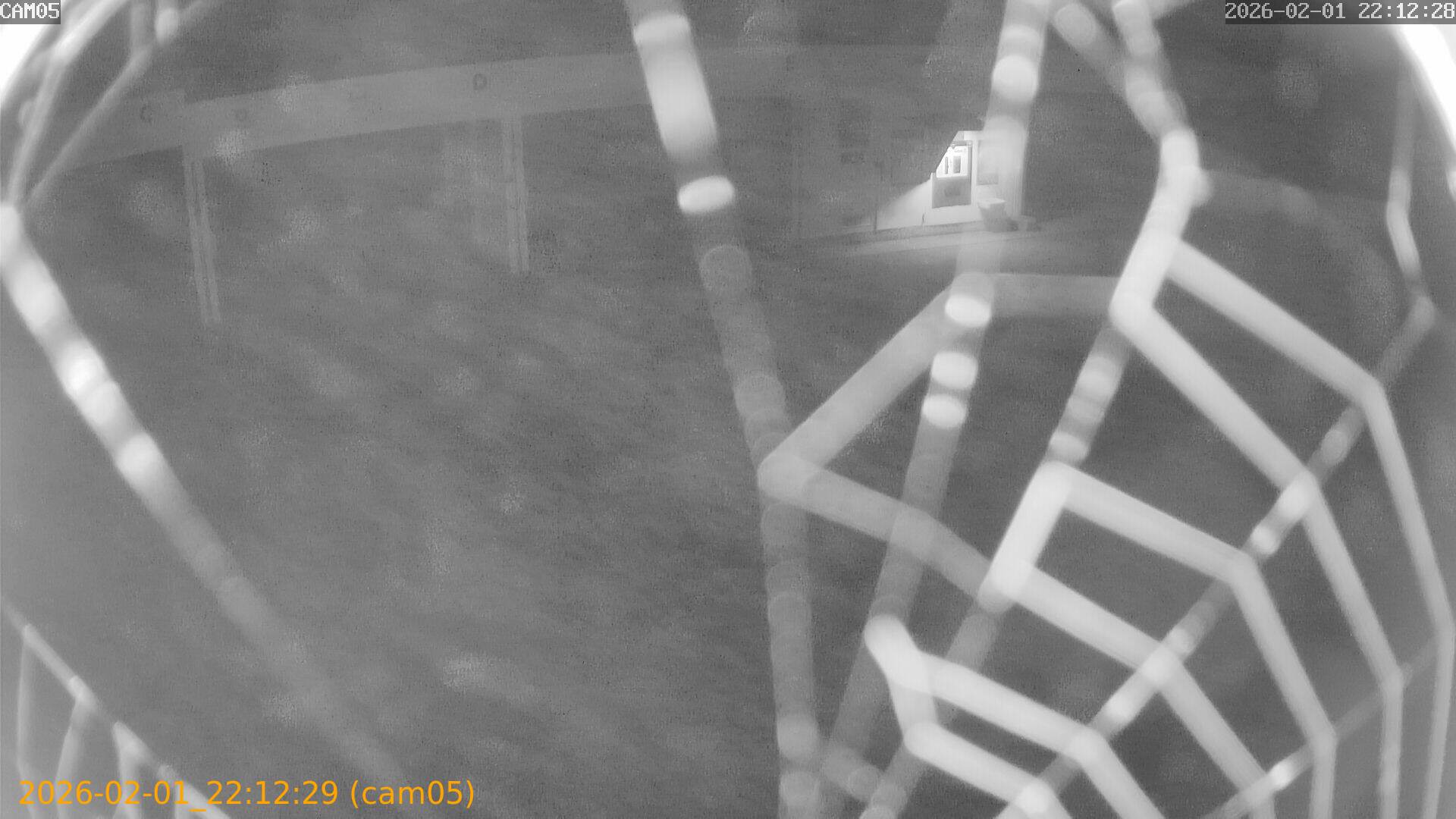 thumbnail_20260201221229