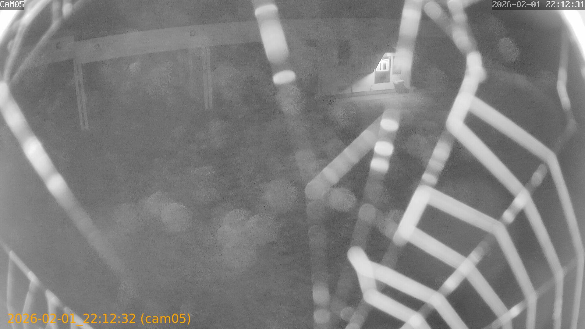 thumbnail_20260201221232