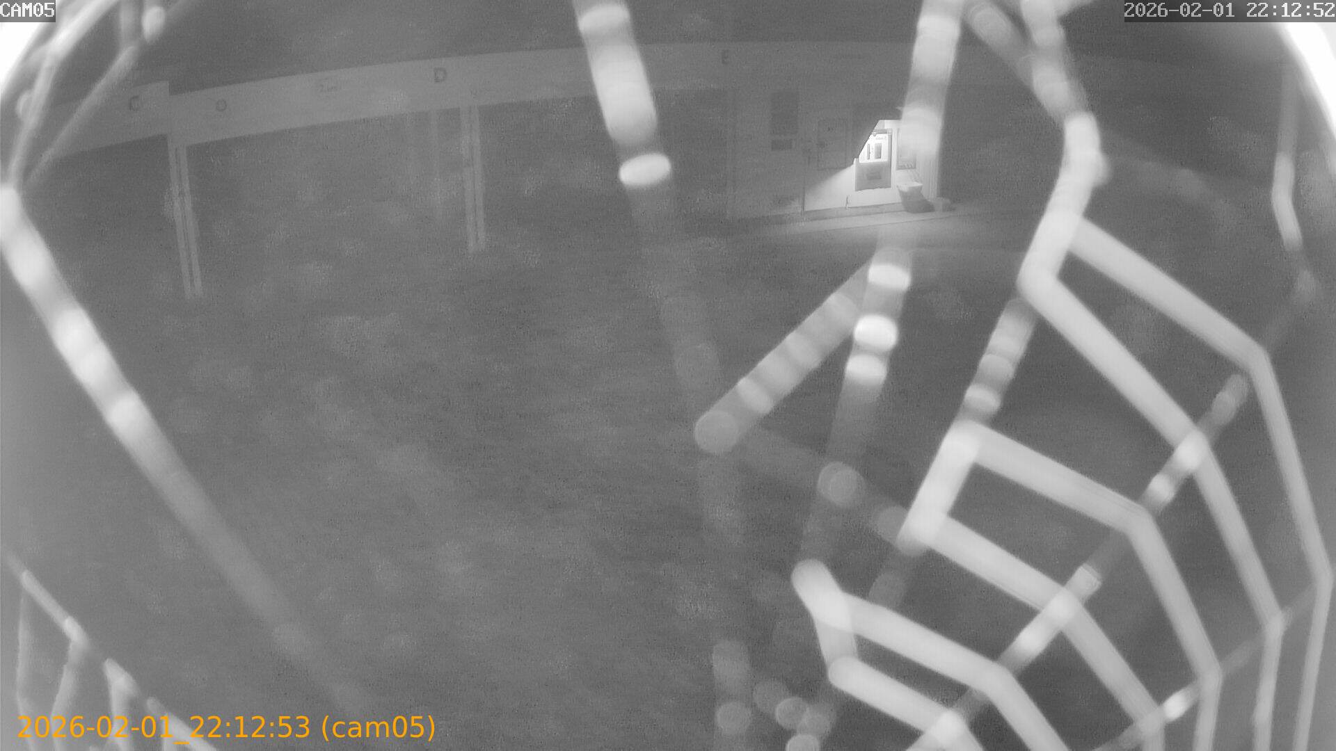 thumbnail_20260201221253