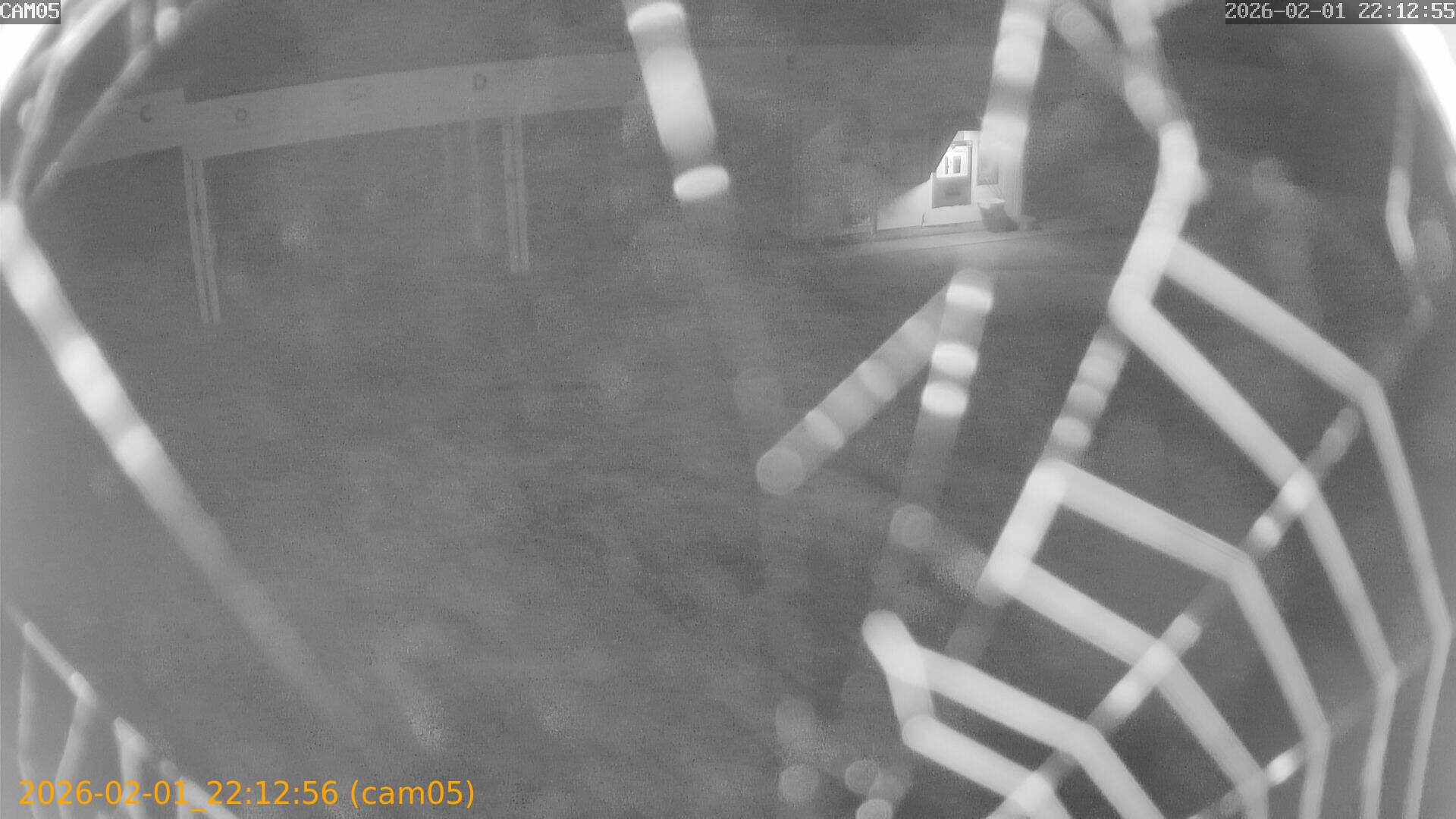 thumbnail_20260201221256