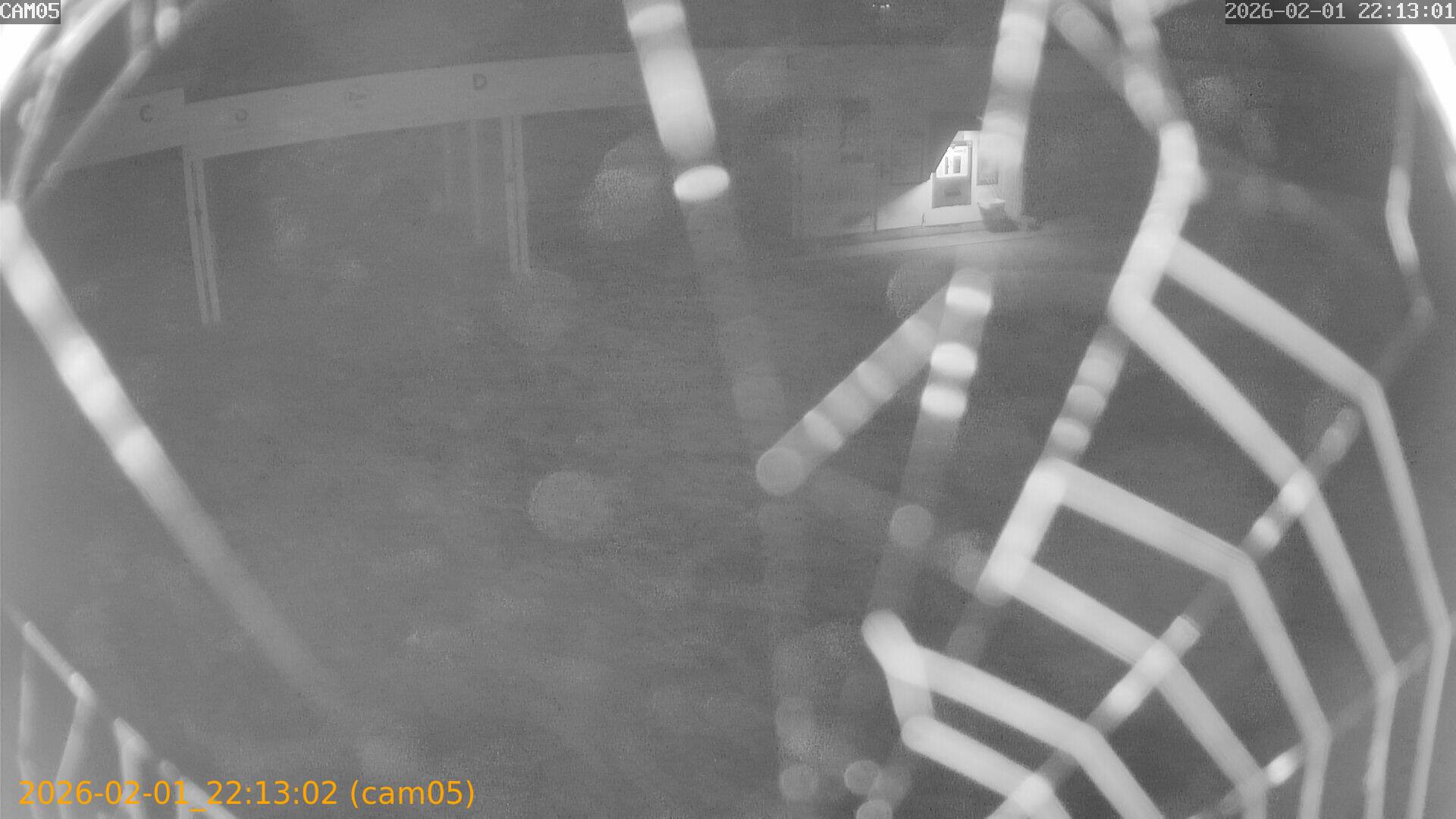 thumbnail_20260201221302