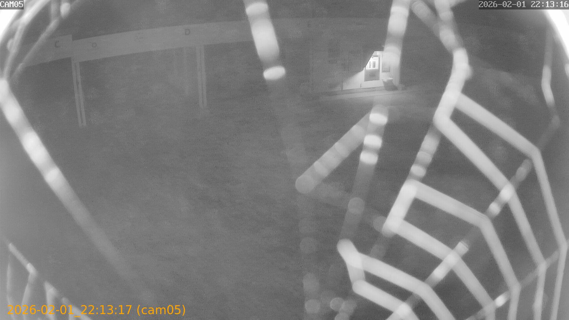 thumbnail_20260201221317