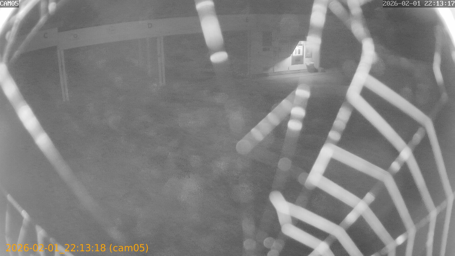 thumbnail_20260201221318