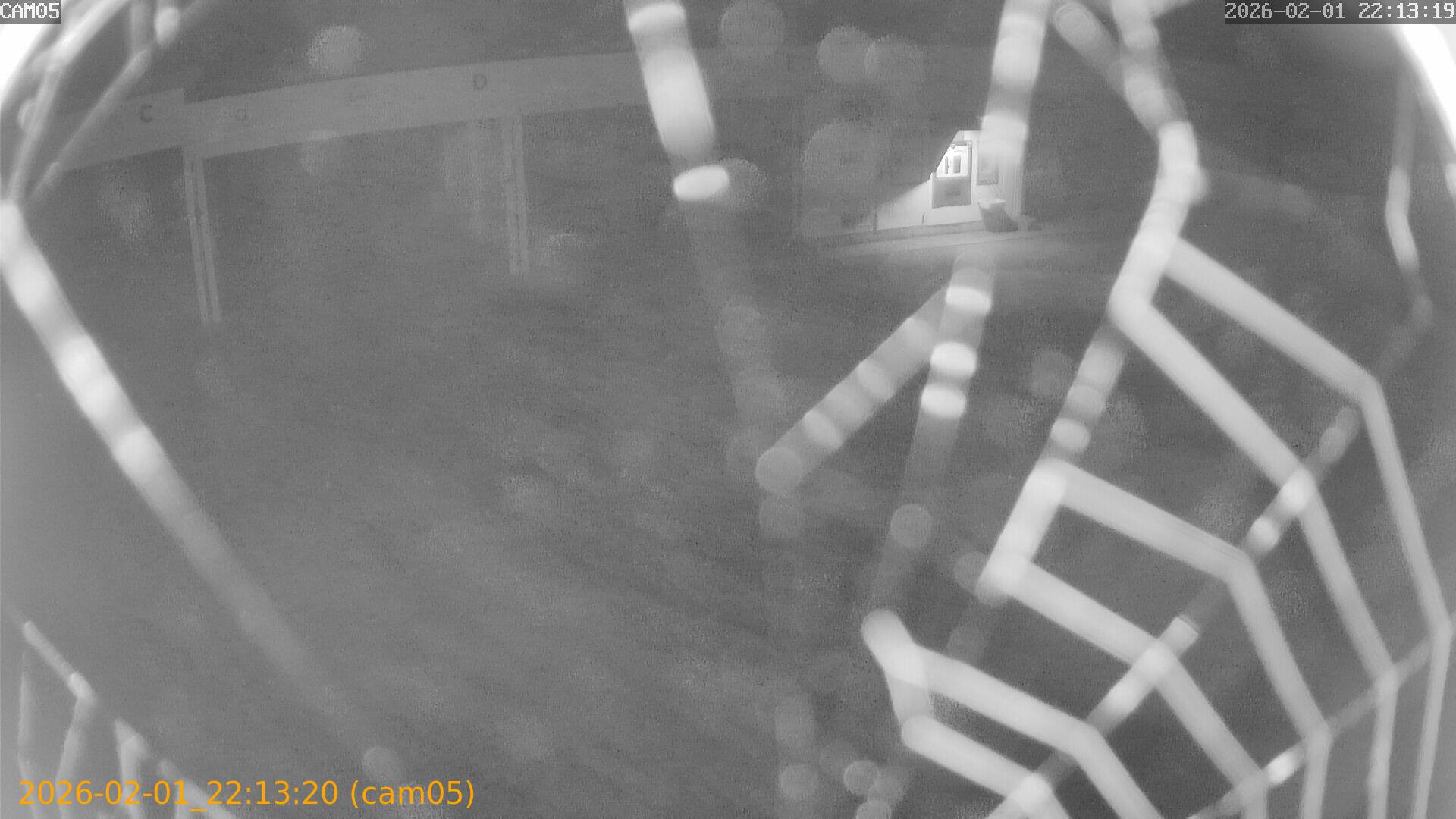 thumbnail_20260201221320