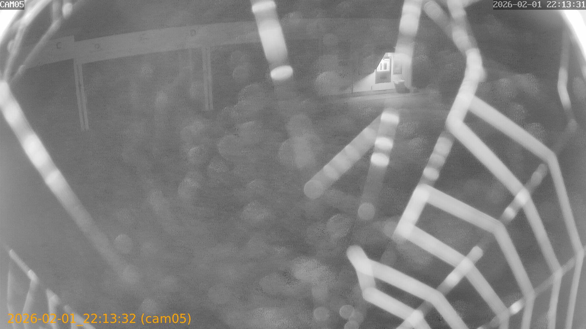 thumbnail_20260201221332