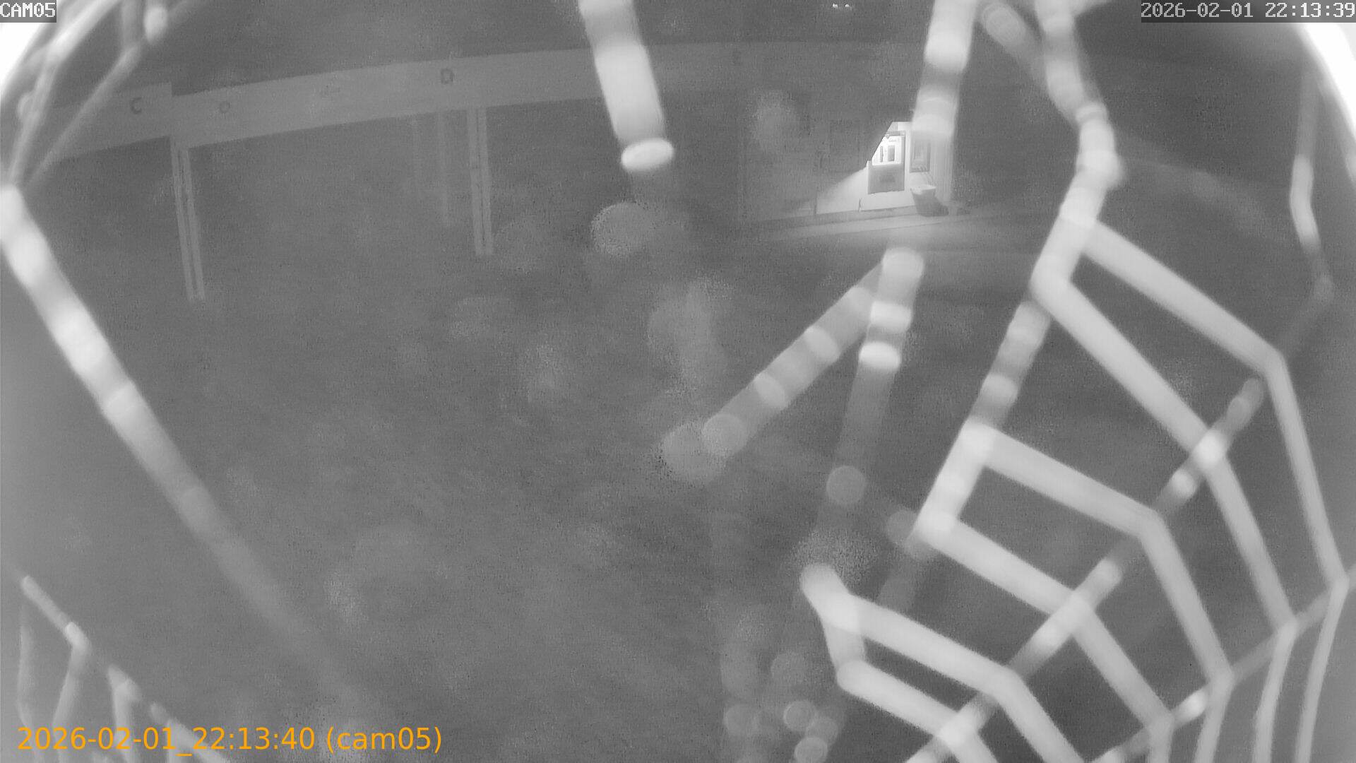 thumbnail_20260201221340