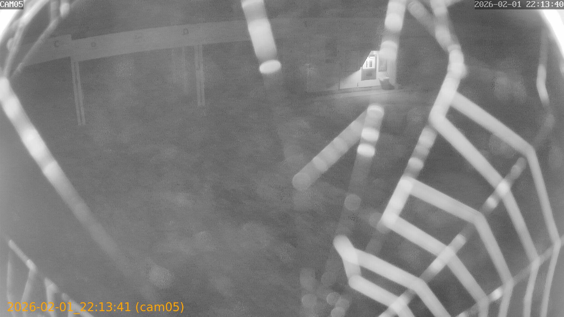 thumbnail_20260201221341