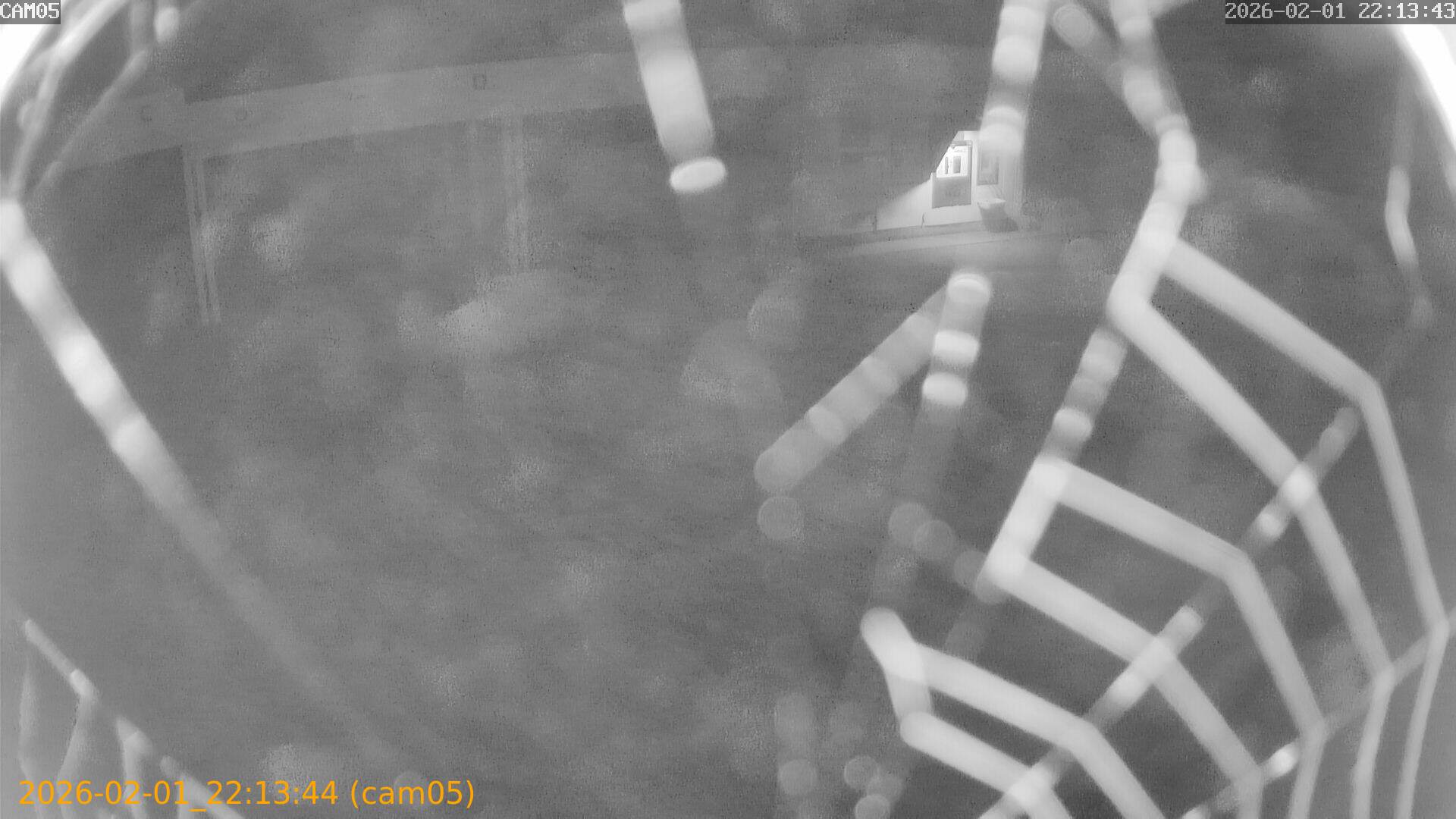 thumbnail_20260201221344