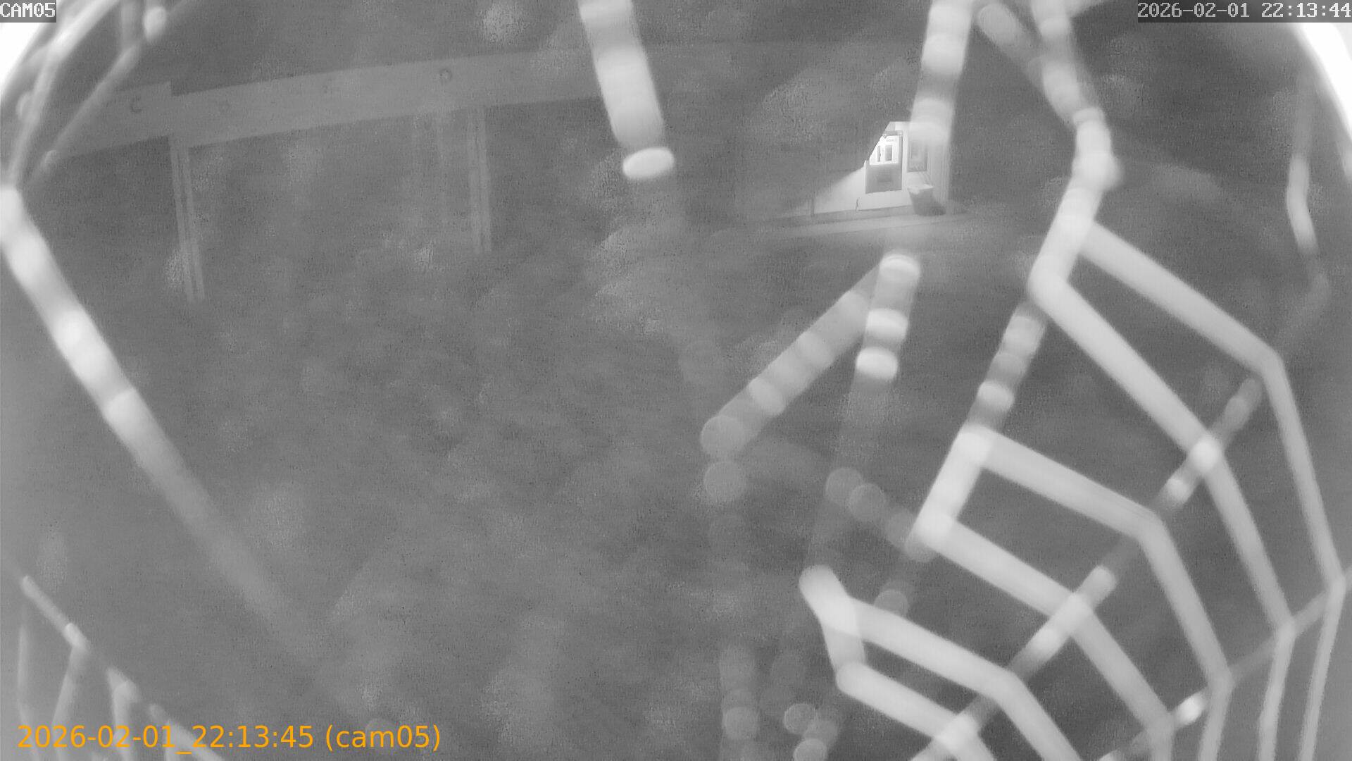 thumbnail_20260201221345