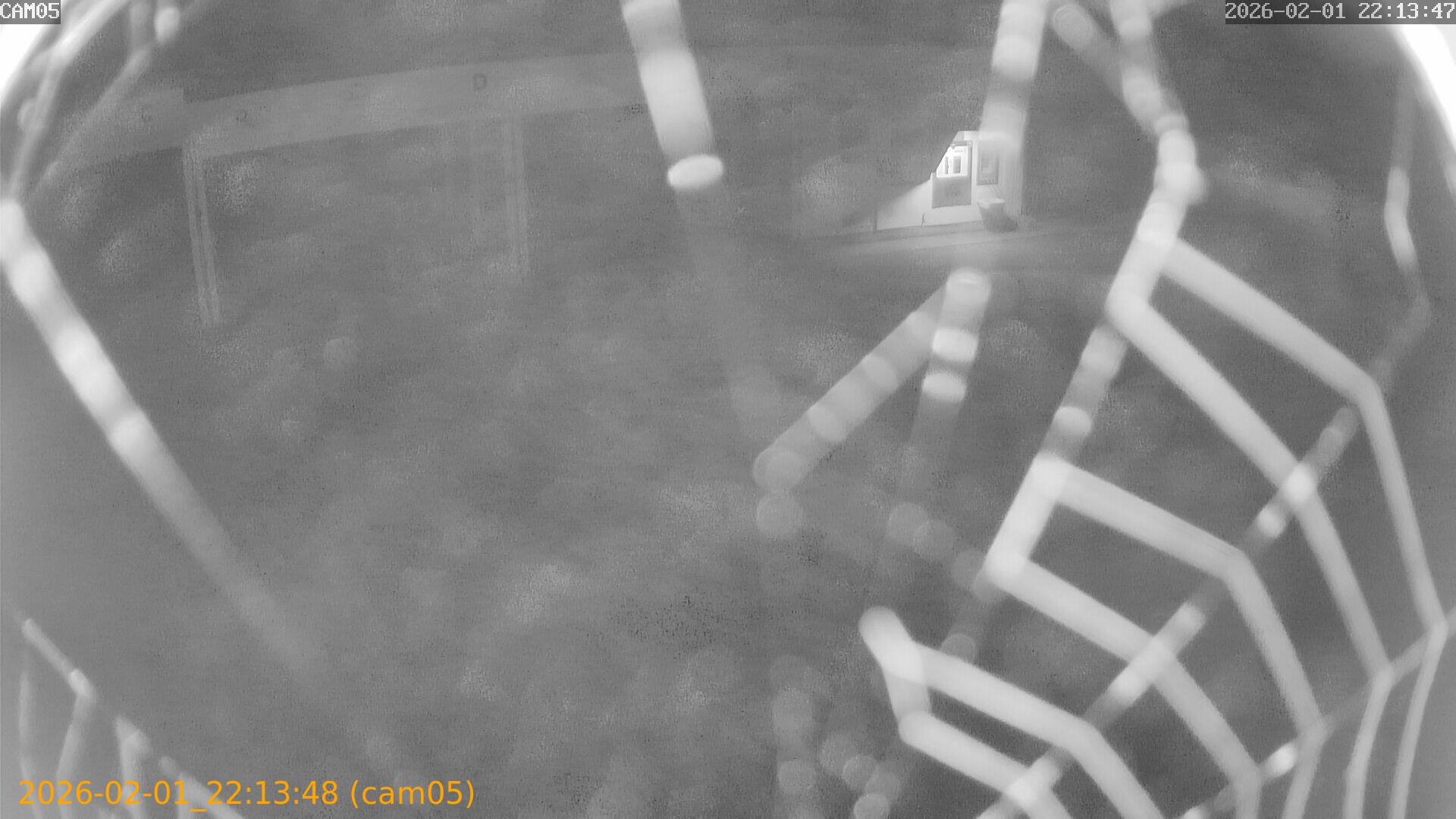 thumbnail_20260201221348