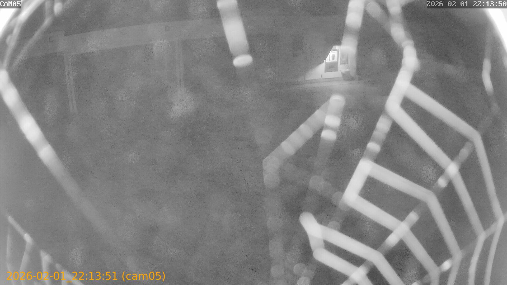 thumbnail_20260201221351