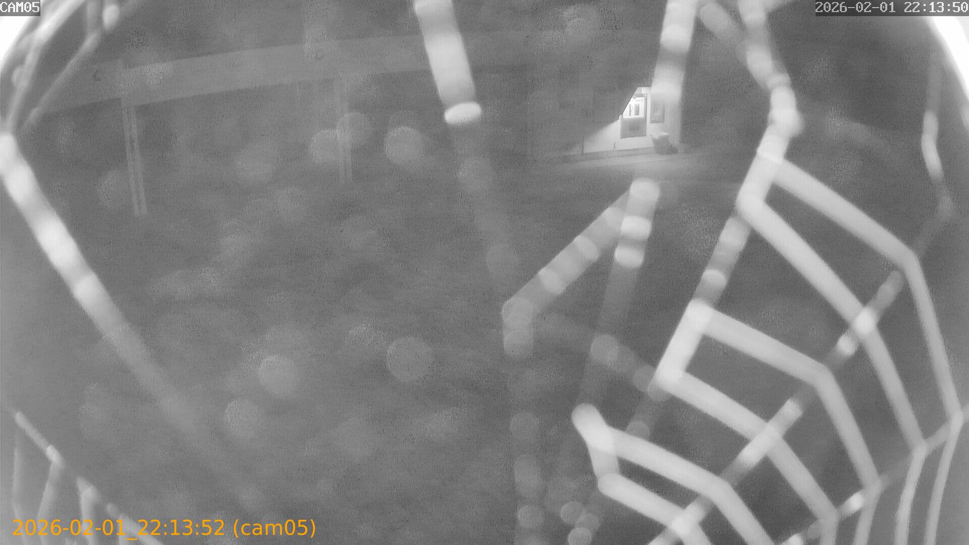 thumbnail_20260201221352