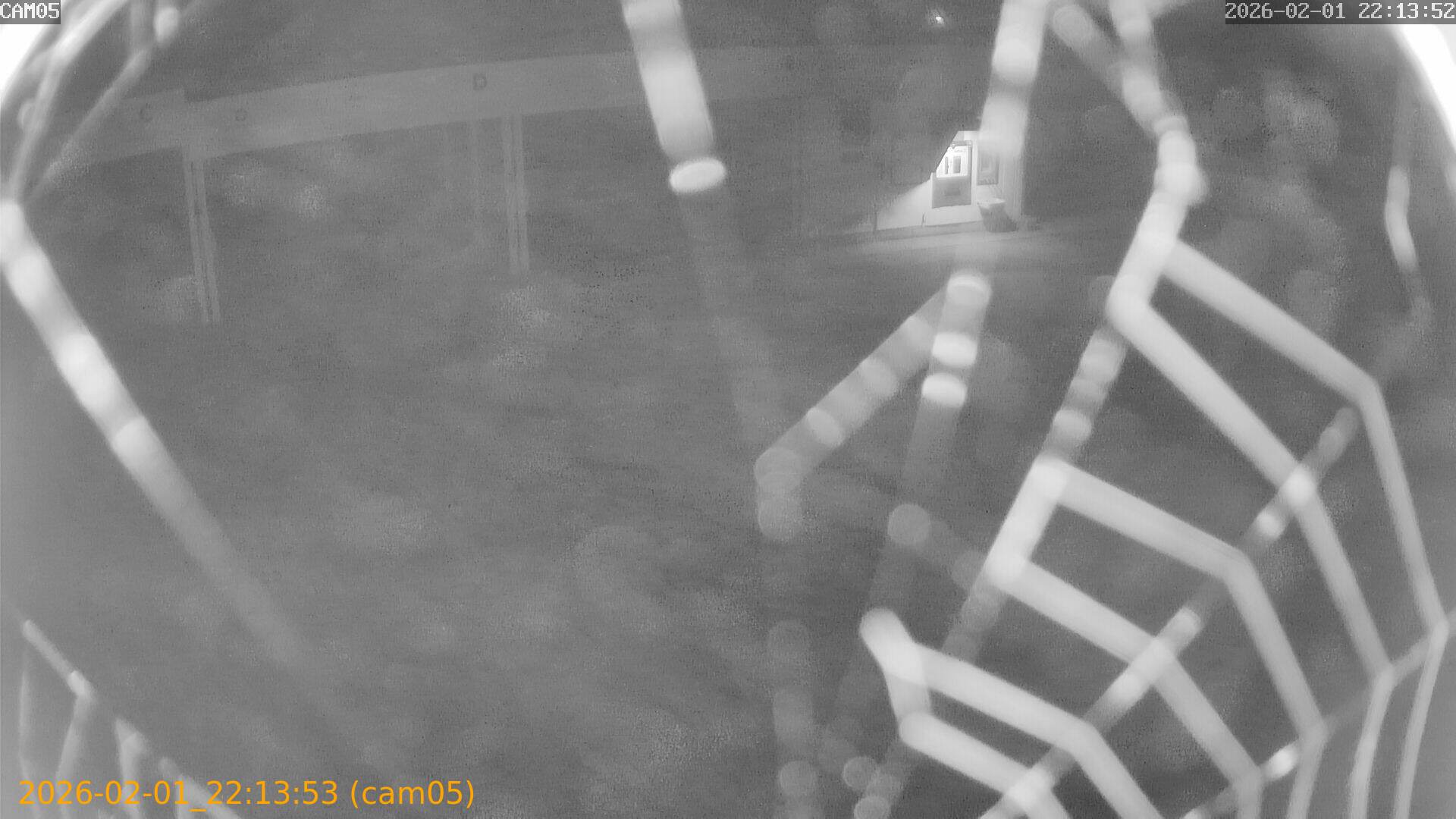 thumbnail_20260201221353