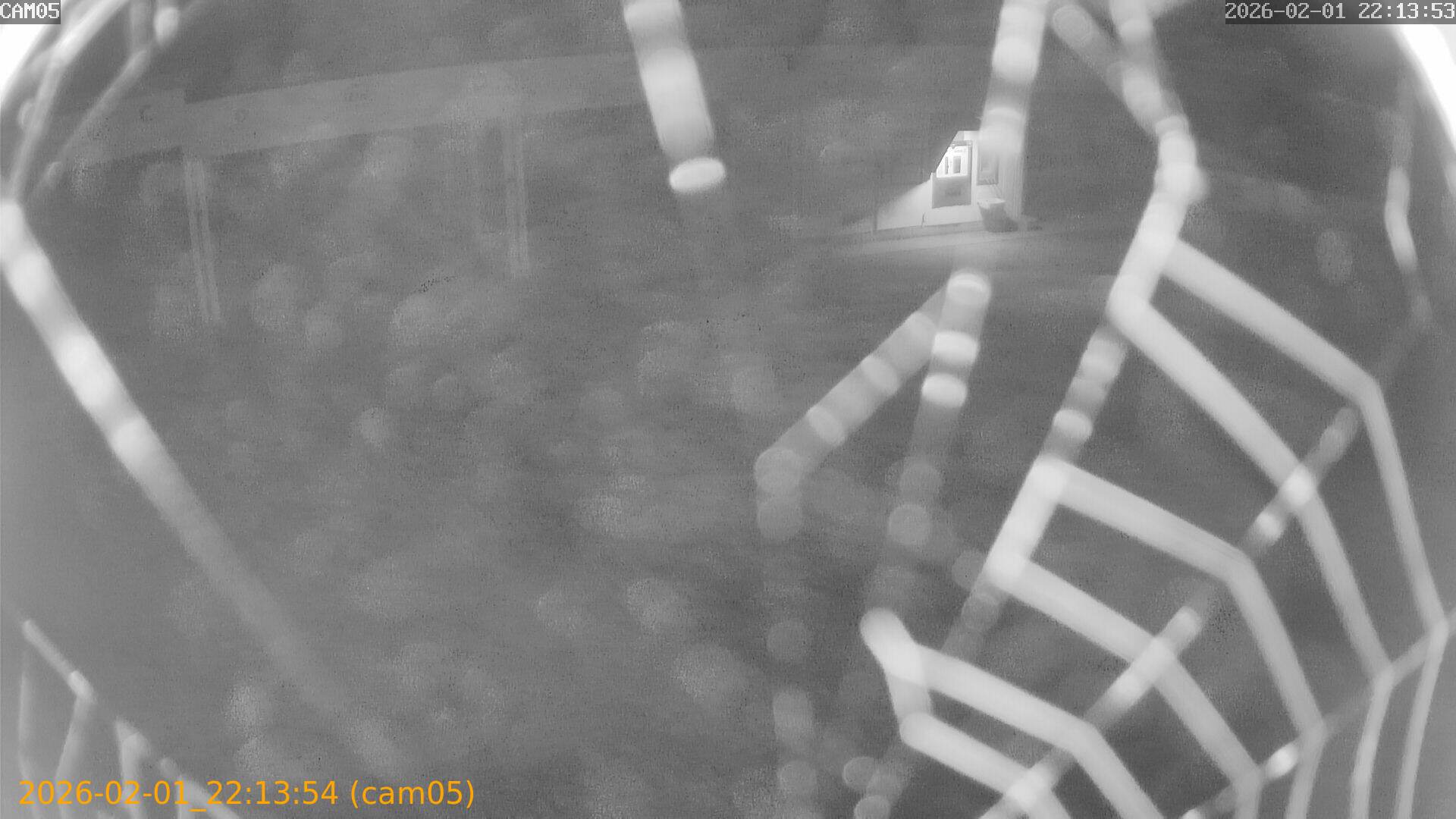 thumbnail_20260201221354