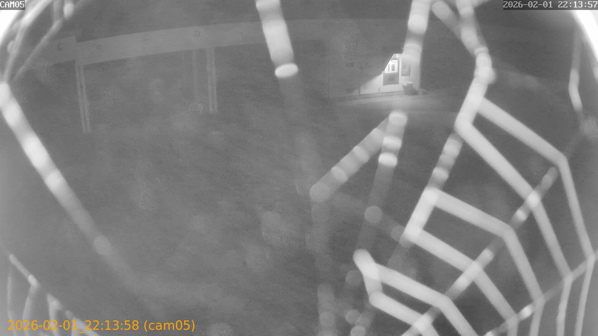 thumbnail_20260201221358