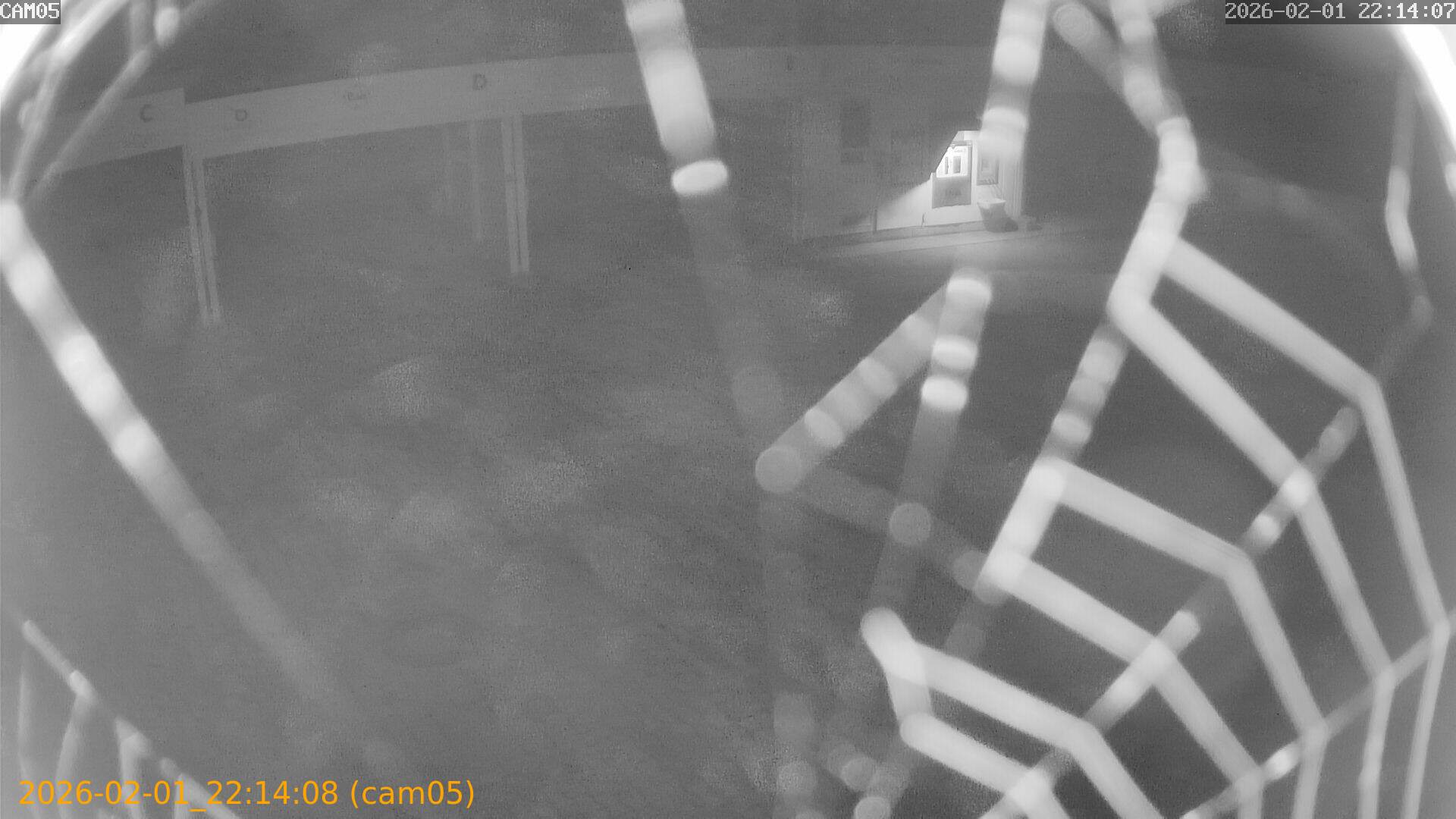 thumbnail_20260201221408