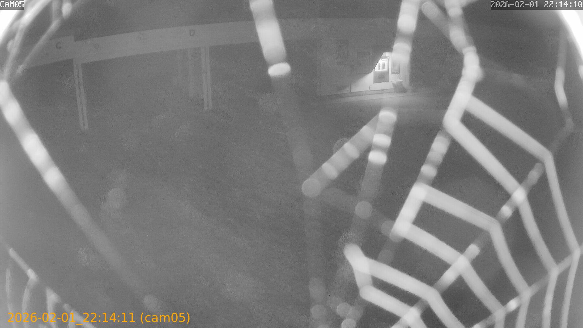 thumbnail_20260201221411