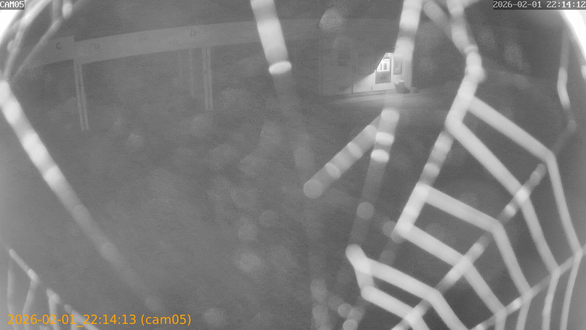 thumbnail_20260201221413