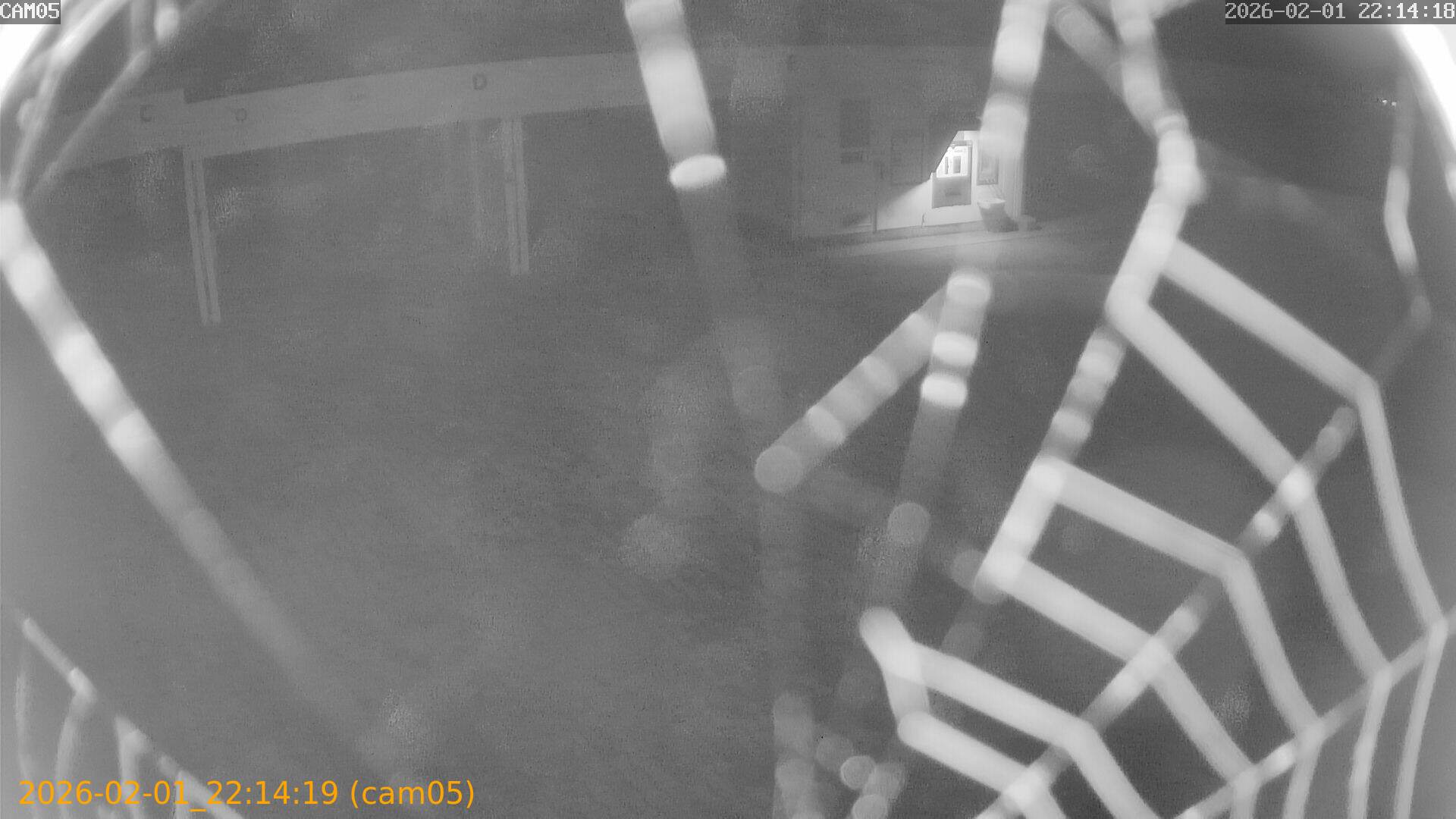 thumbnail_20260201221419