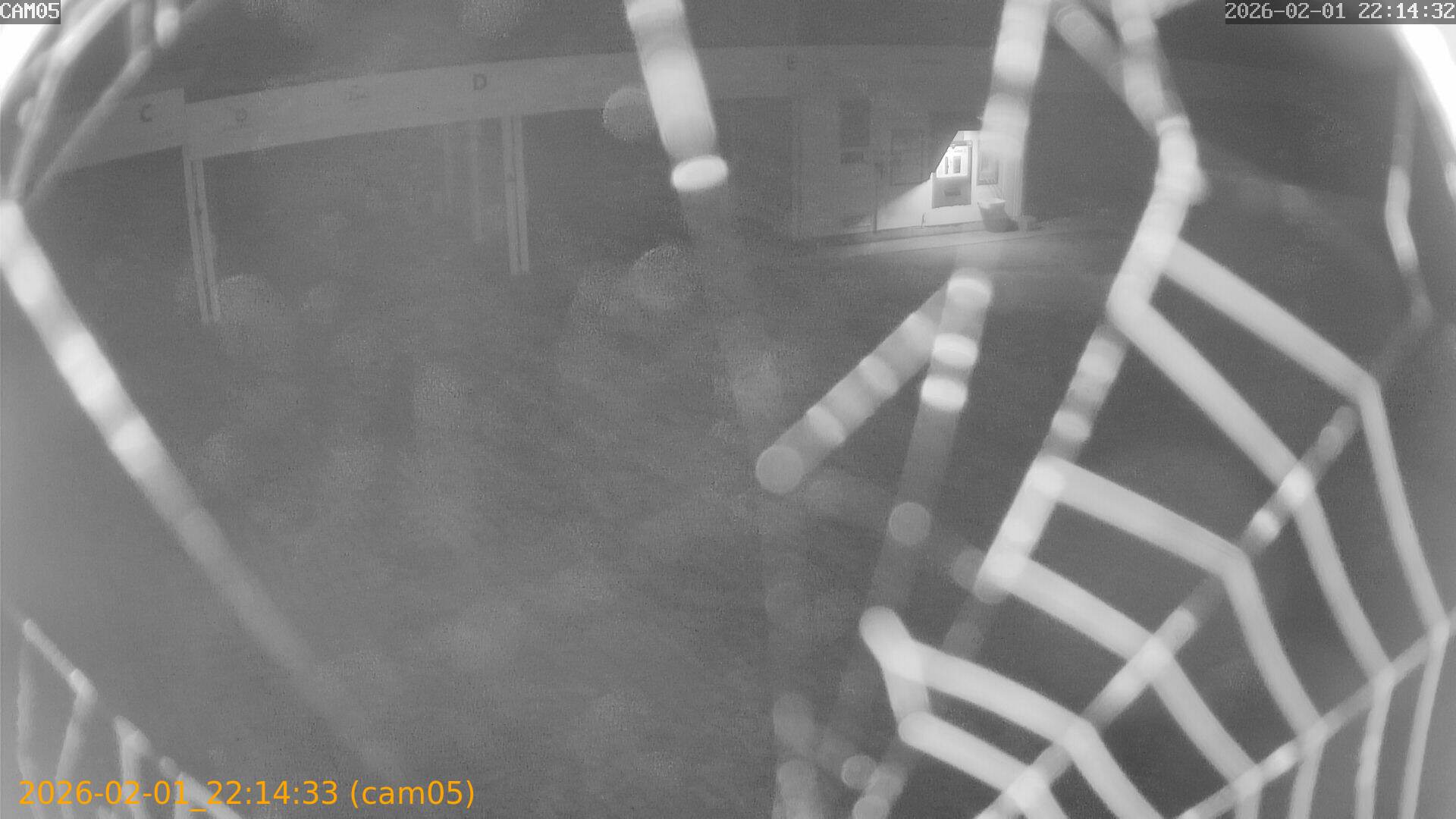 thumbnail_20260201221433