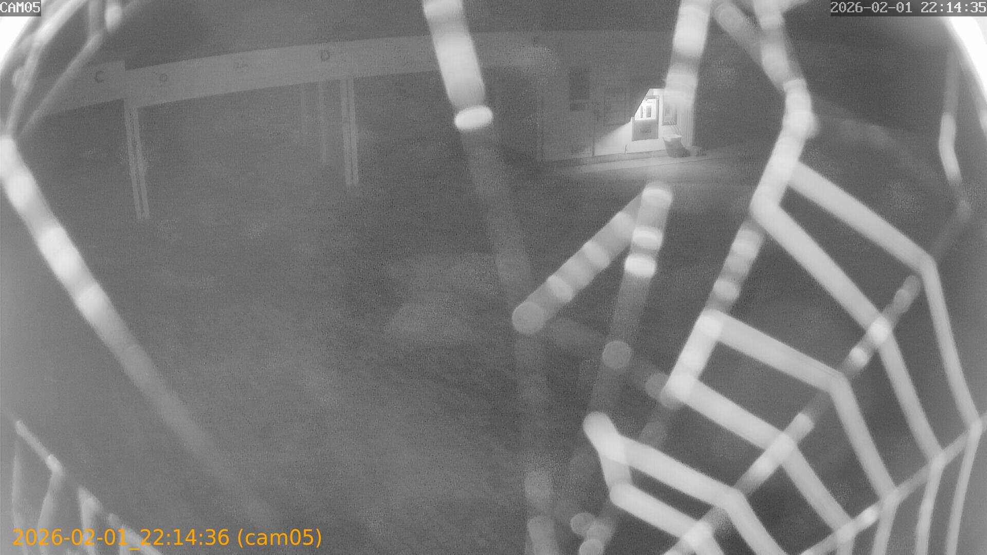 thumbnail_20260201221436