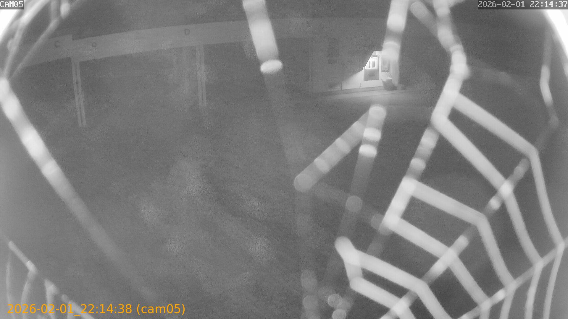 thumbnail_20260201221438