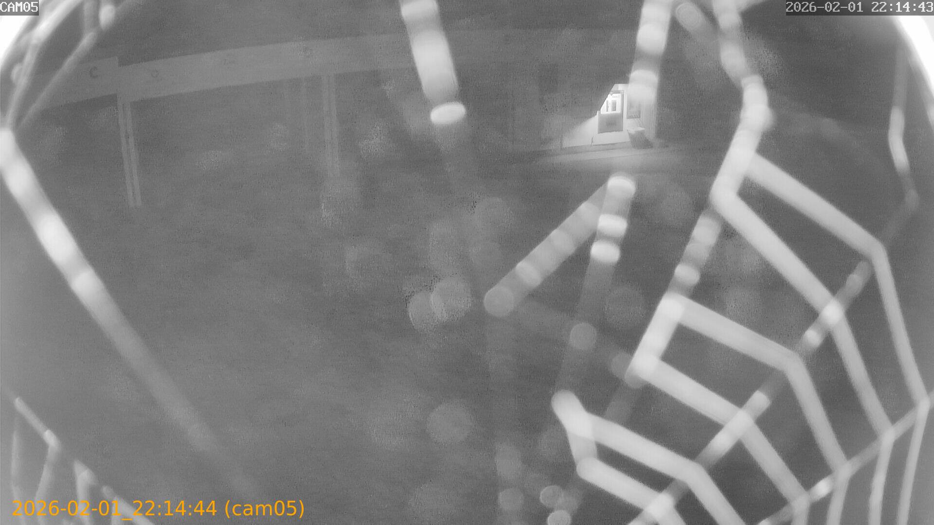 thumbnail_20260201221444