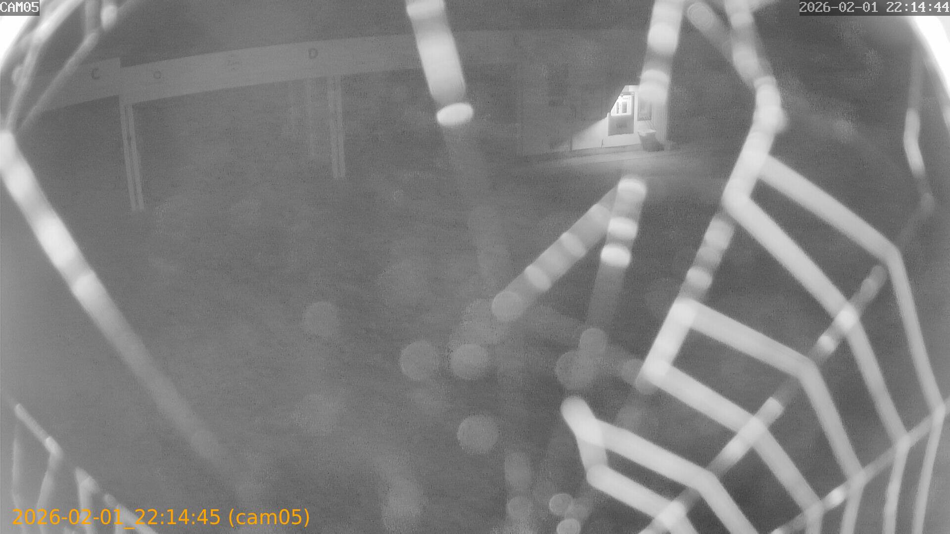 thumbnail_20260201221445