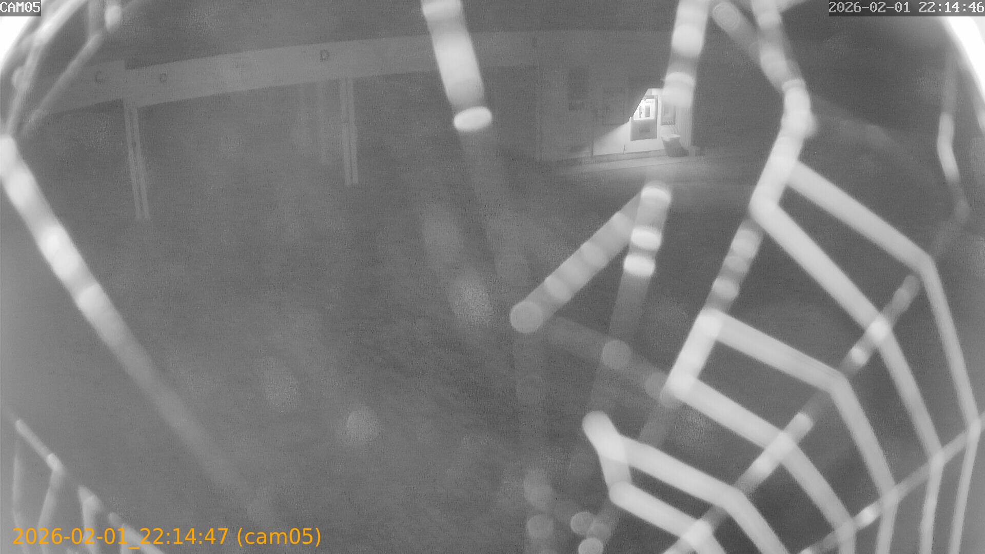 thumbnail_20260201221447