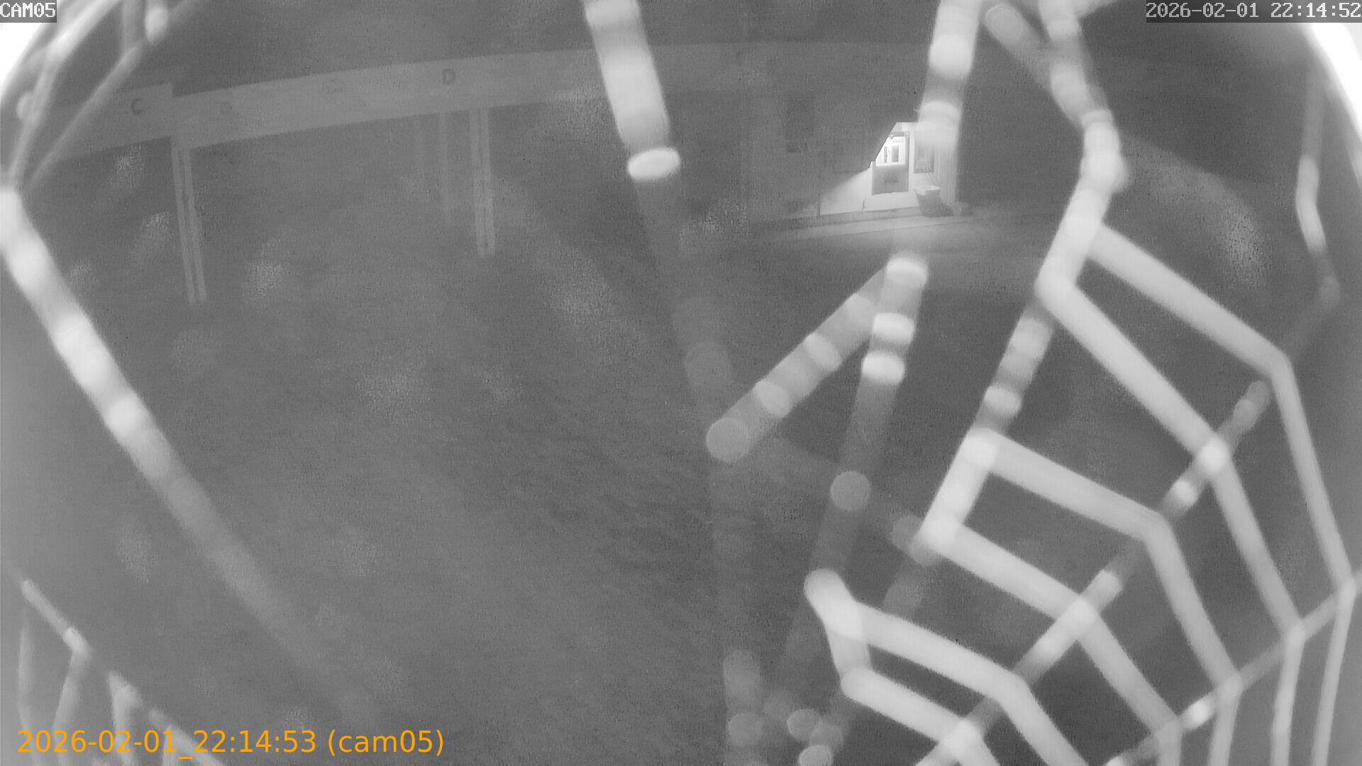 thumbnail_20260201221453