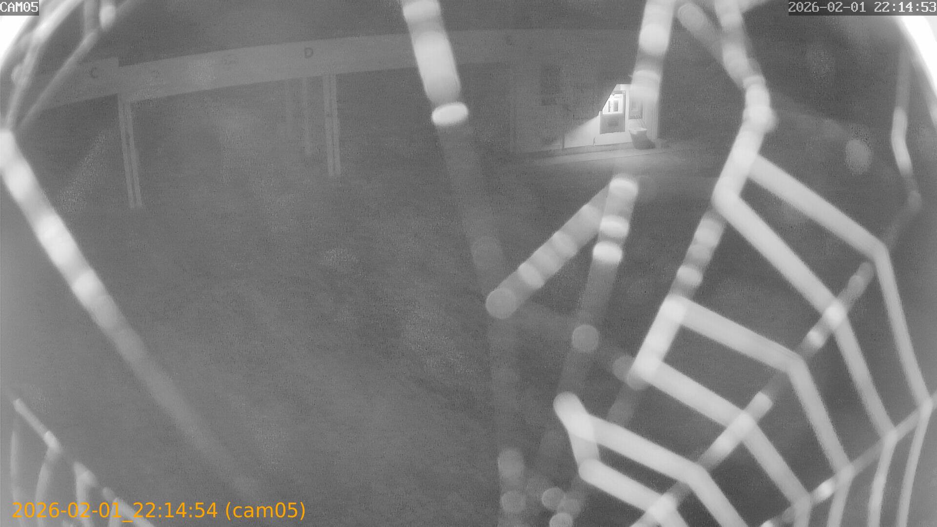 thumbnail_20260201221454