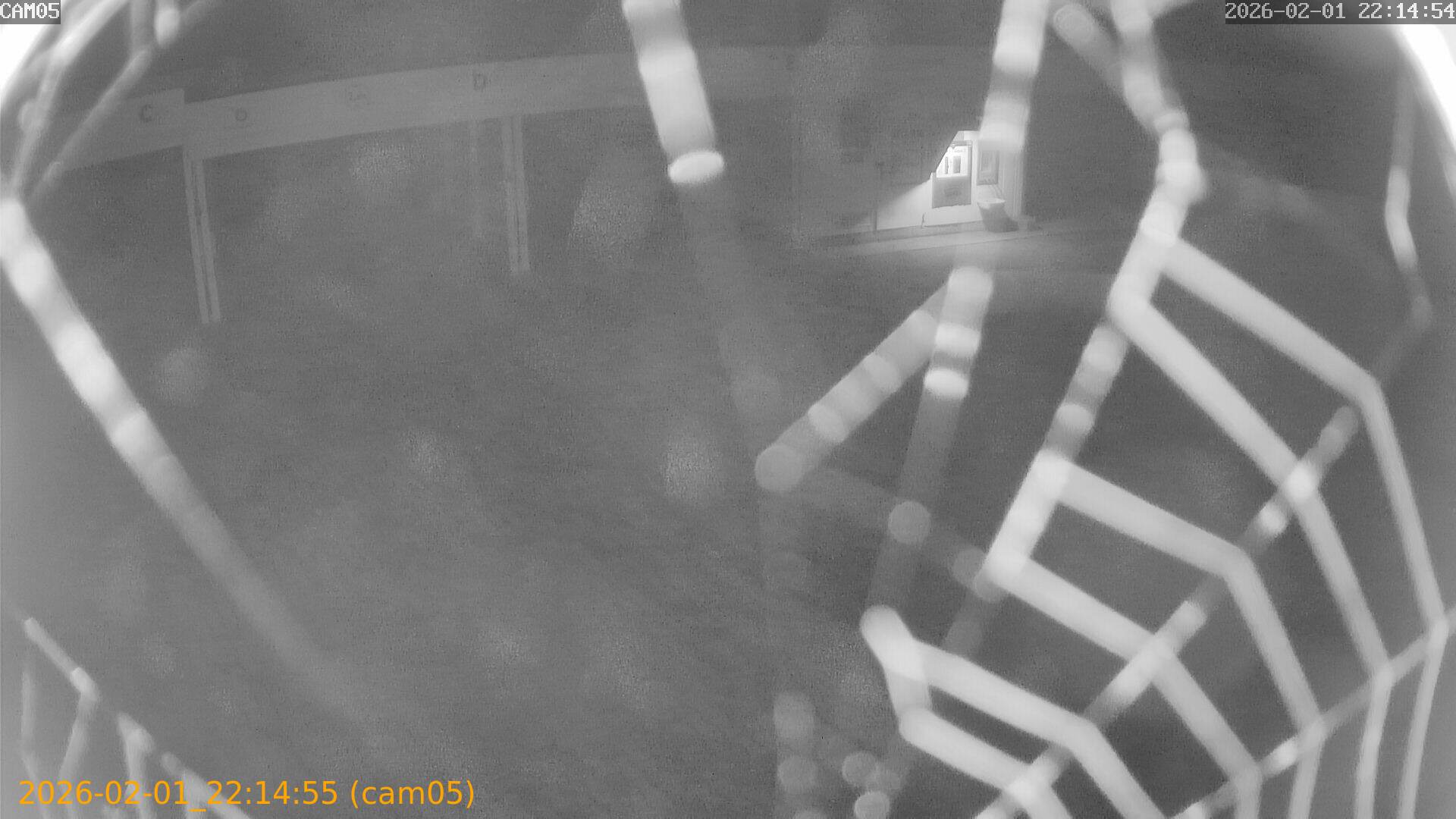 thumbnail_20260201221455