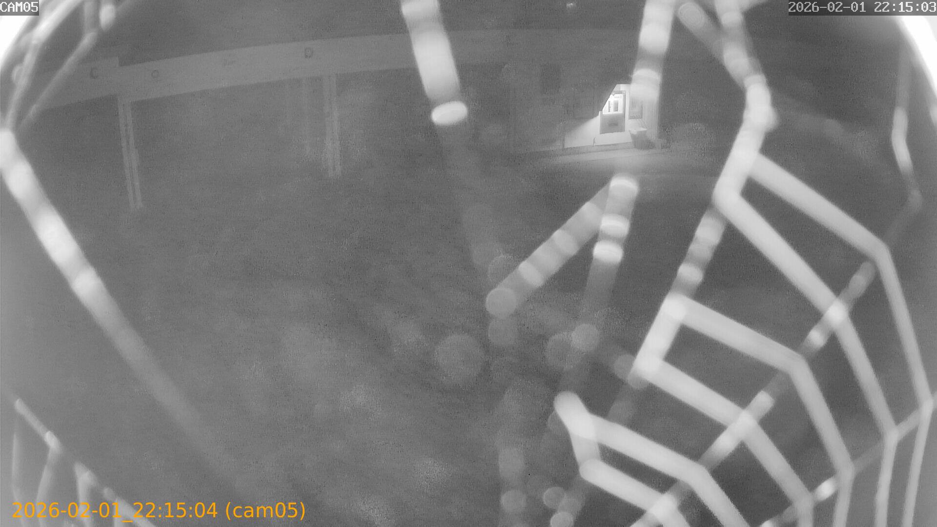 thumbnail_20260201221504