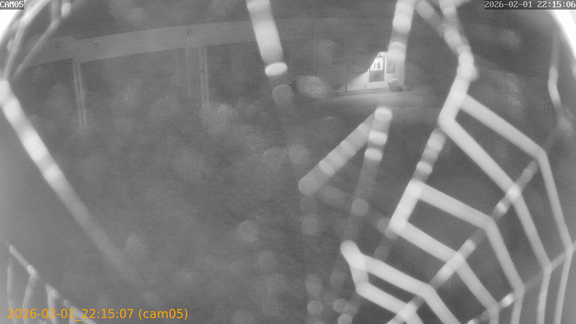 thumbnail_20260201221507