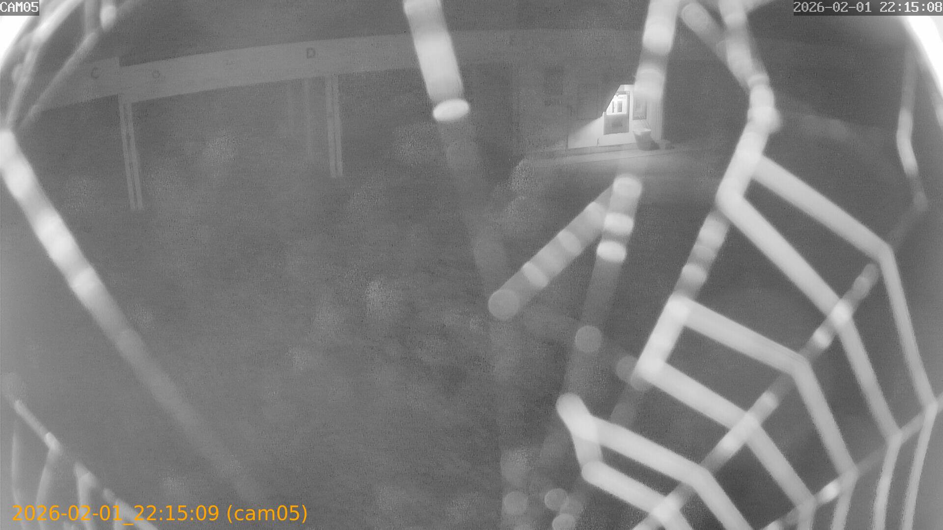 thumbnail_20260201221509