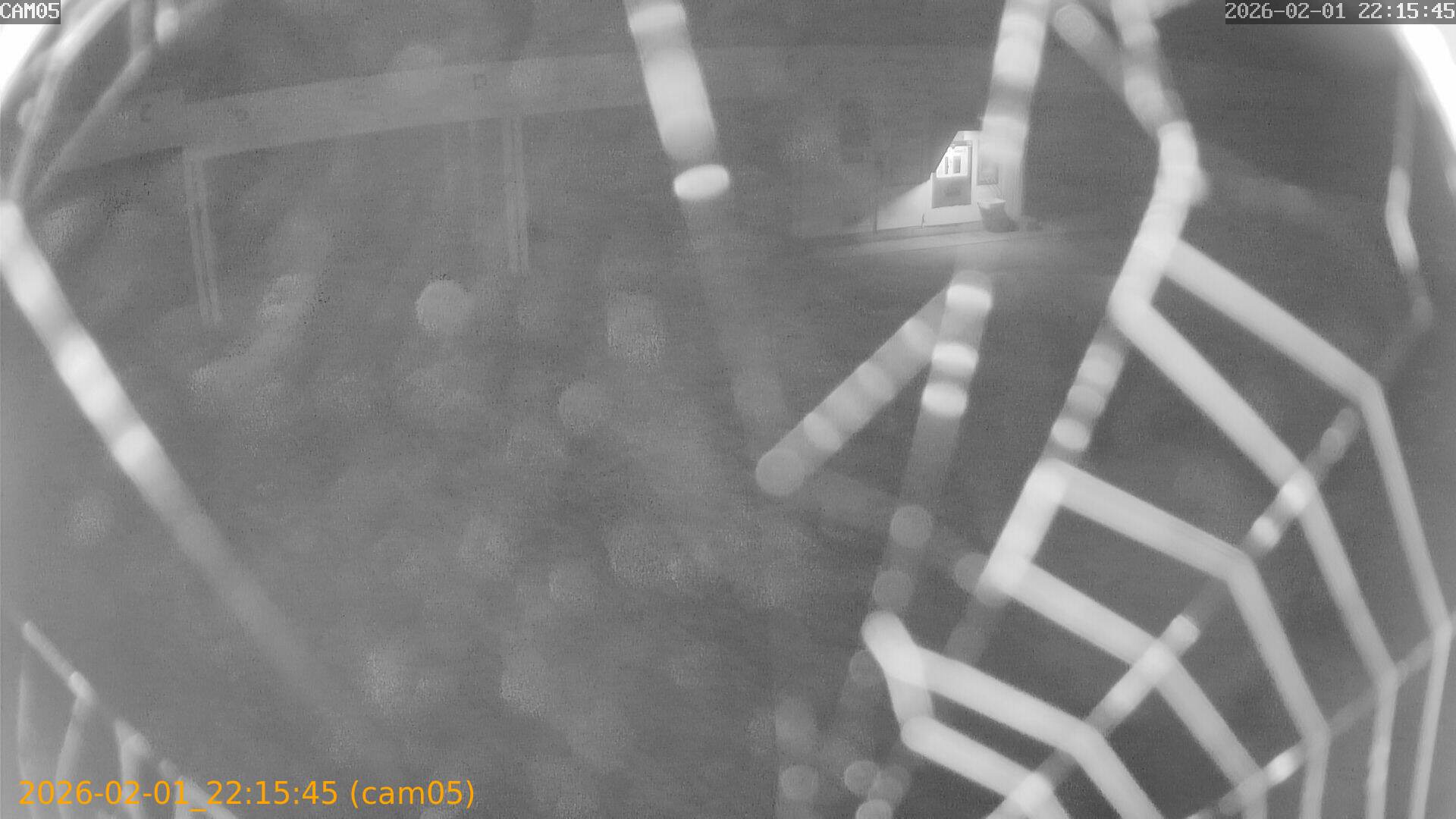 thumbnail_20260201221545