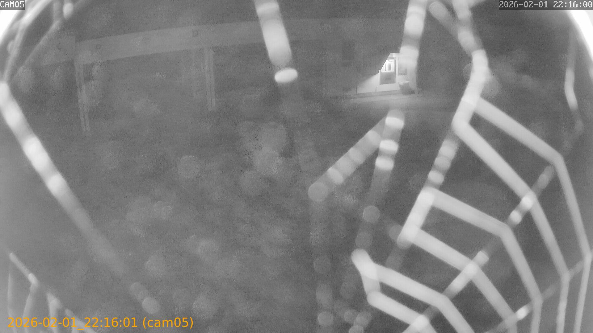 thumbnail_20260201221601