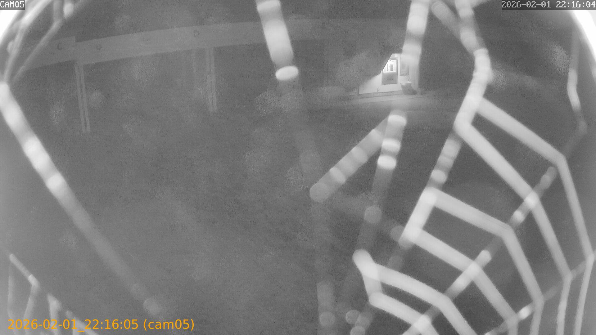 thumbnail_20260201221605