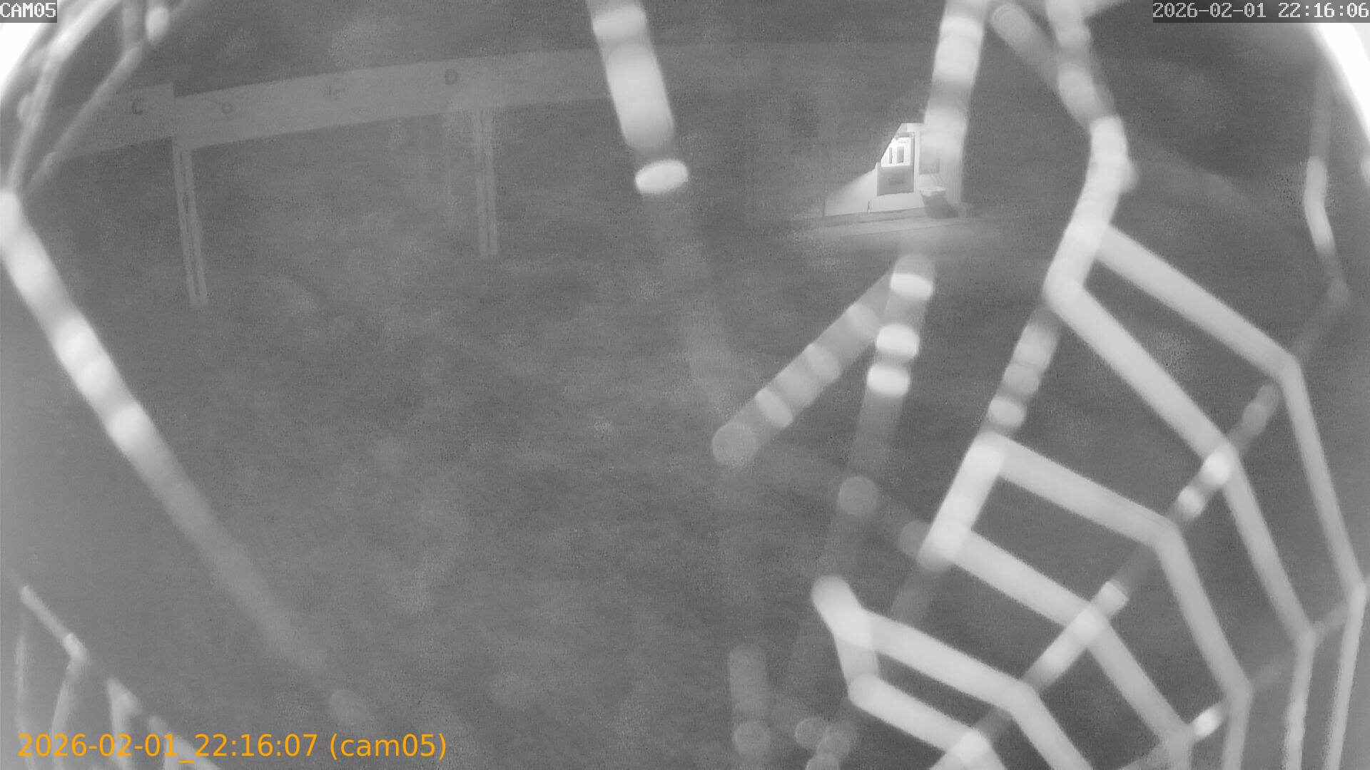 thumbnail_20260201221607