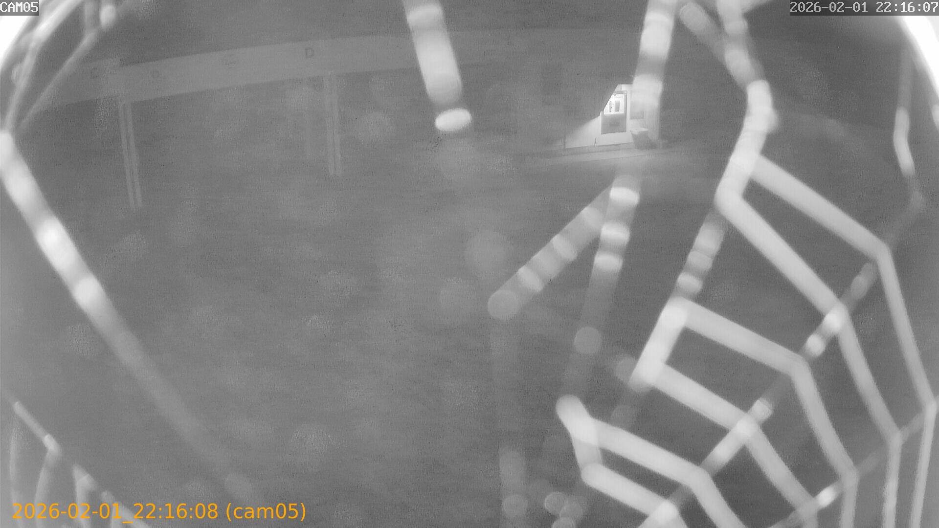 thumbnail_20260201221608