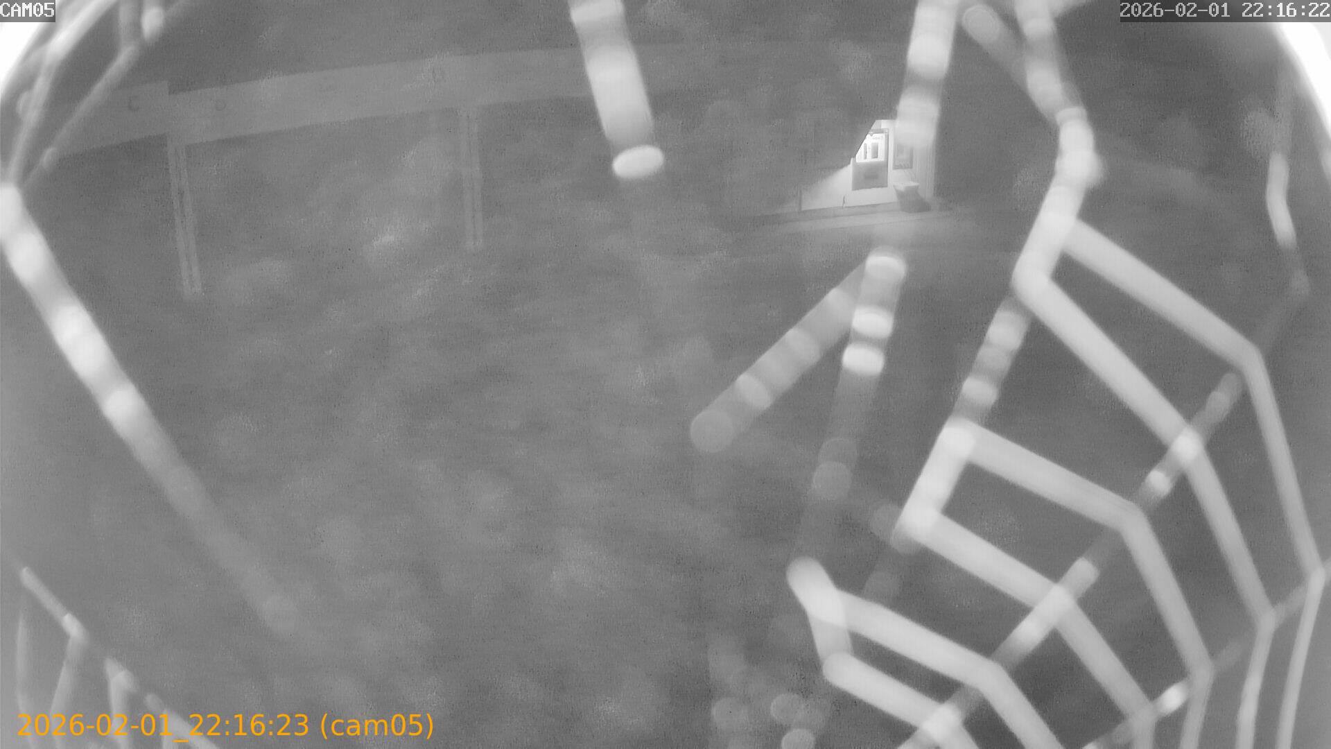 thumbnail_20260201221623