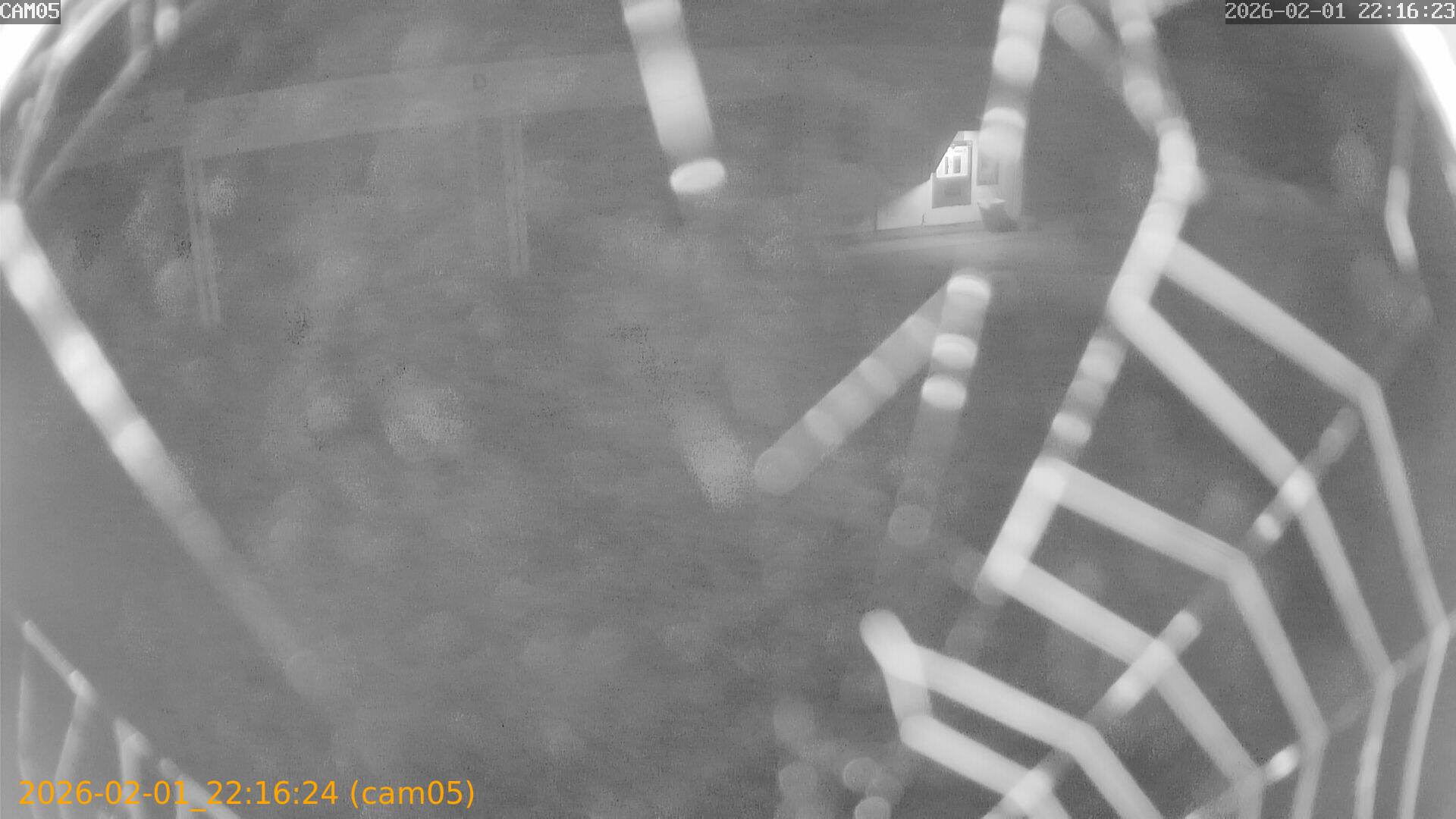 thumbnail_20260201221624