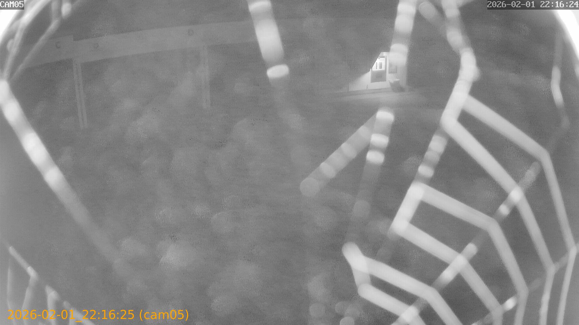 thumbnail_20260201221625