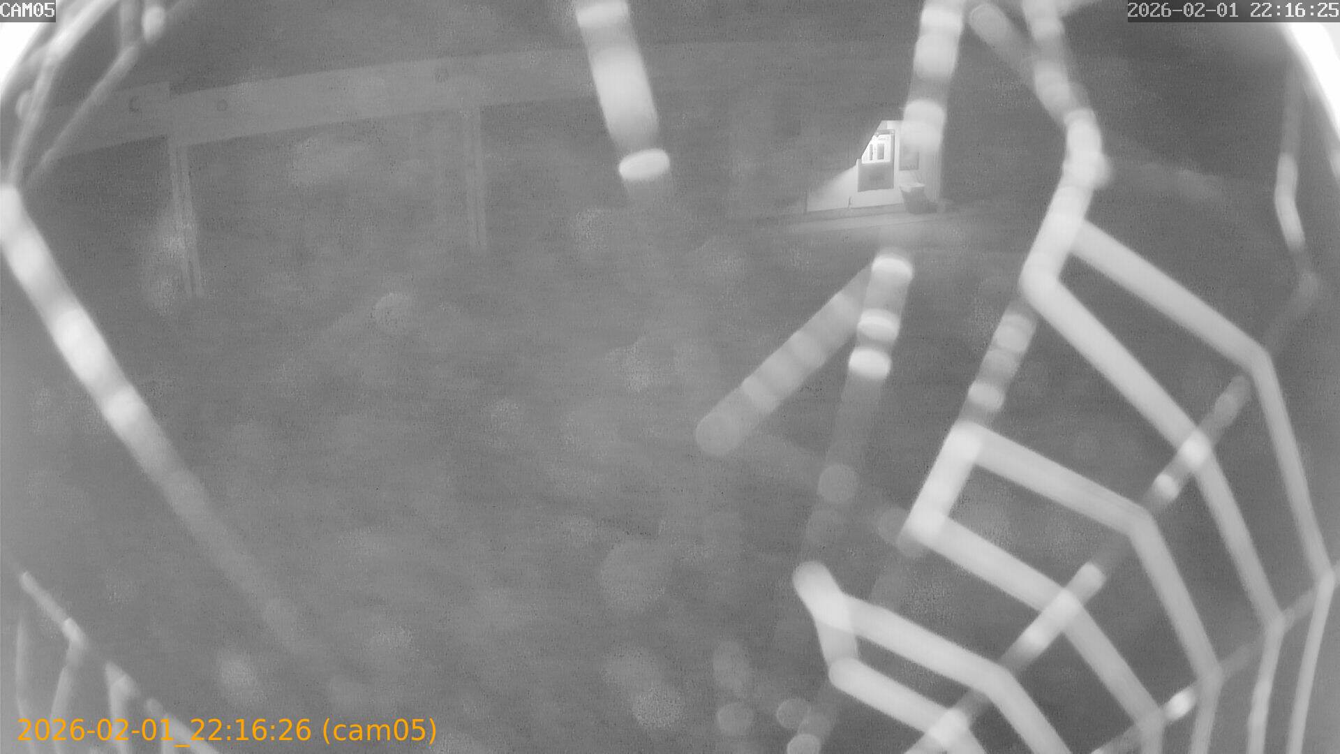 thumbnail_20260201221626