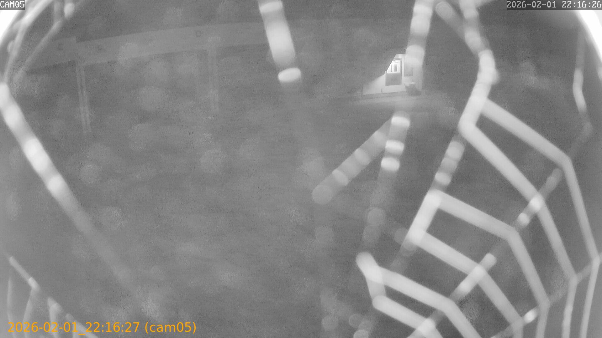 thumbnail_20260201221627