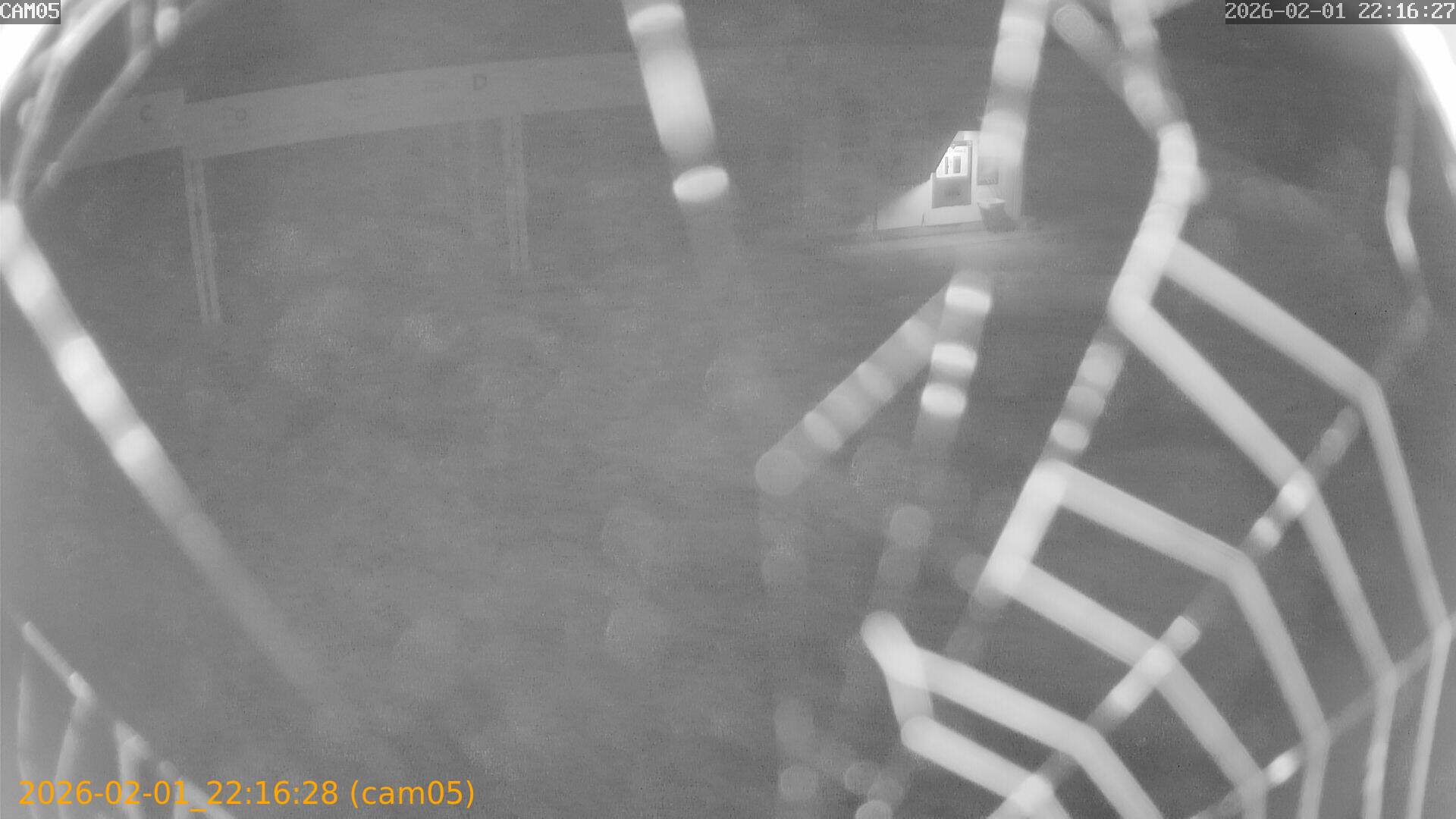 thumbnail_20260201221628