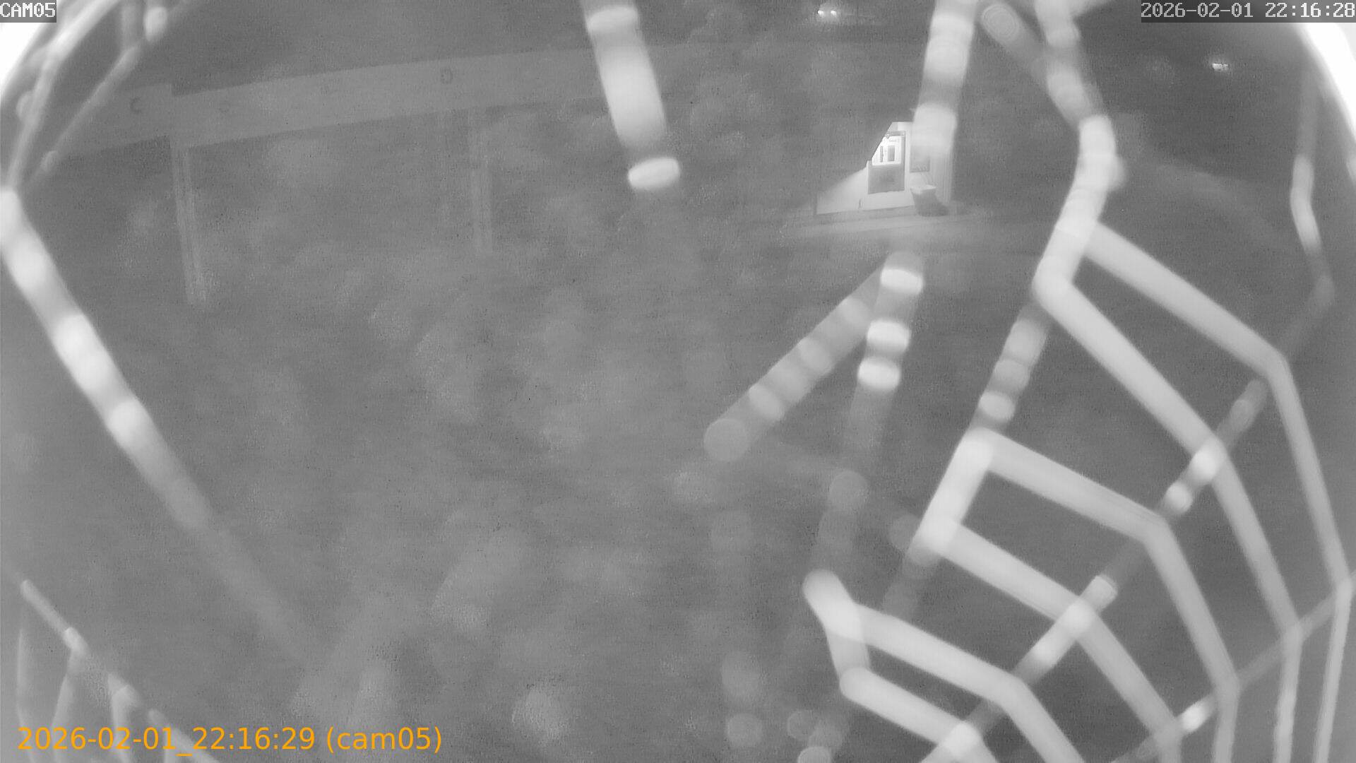 thumbnail_20260201221629