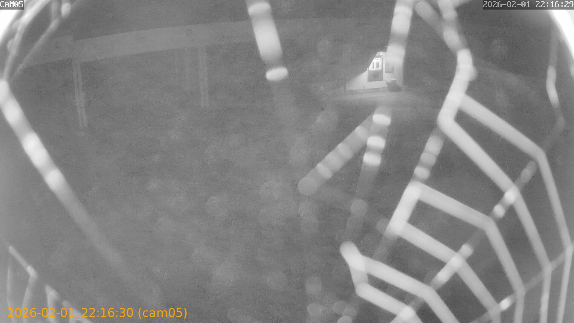 thumbnail_20260201221630