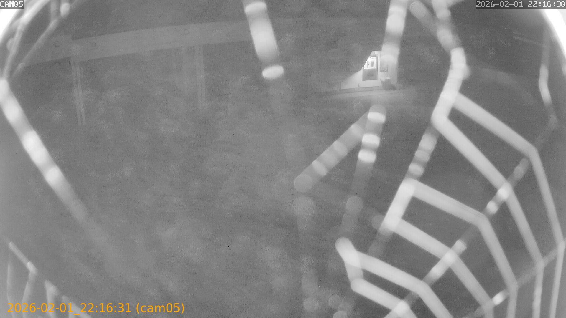 thumbnail_20260201221631