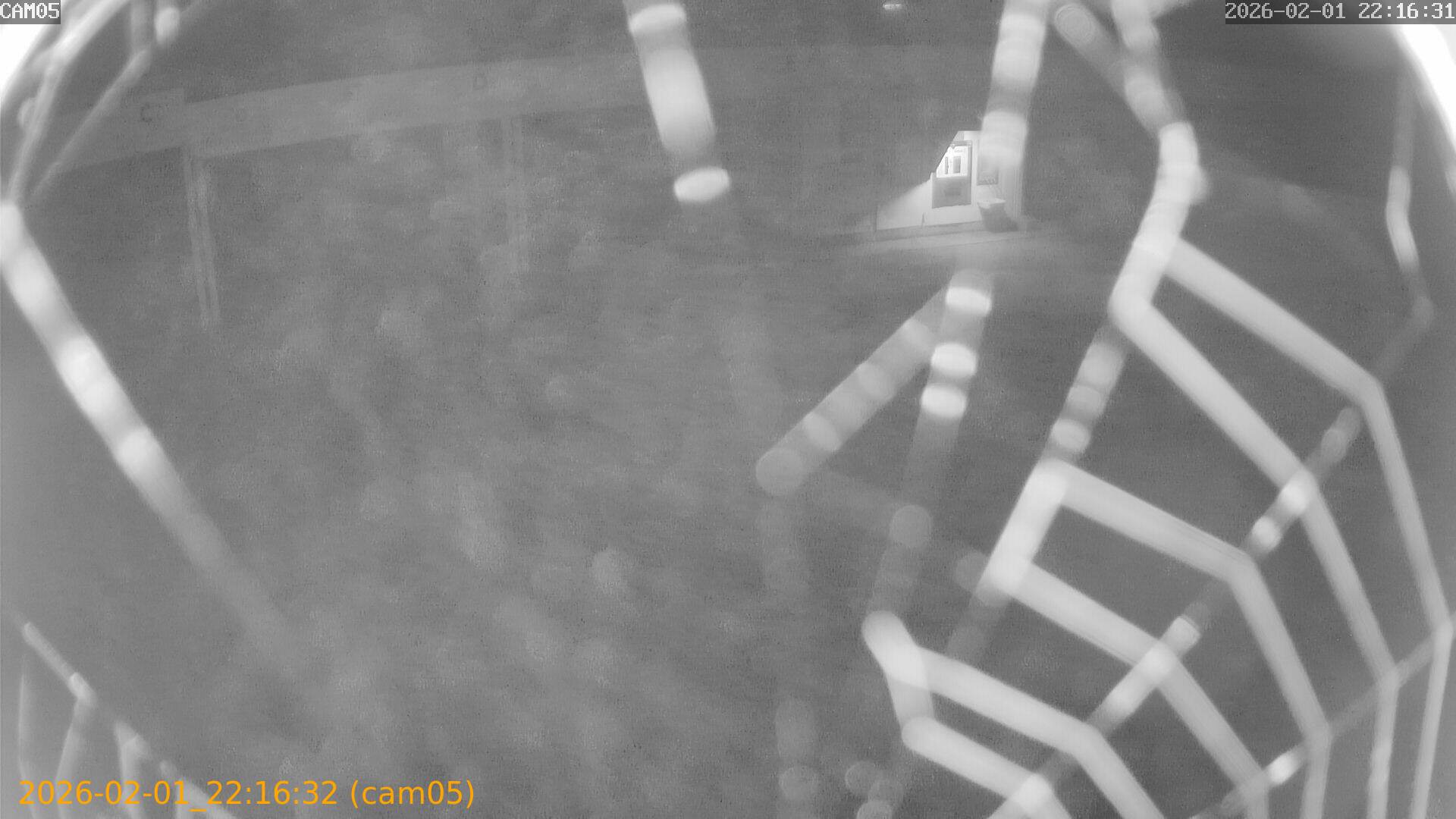 thumbnail_20260201221632